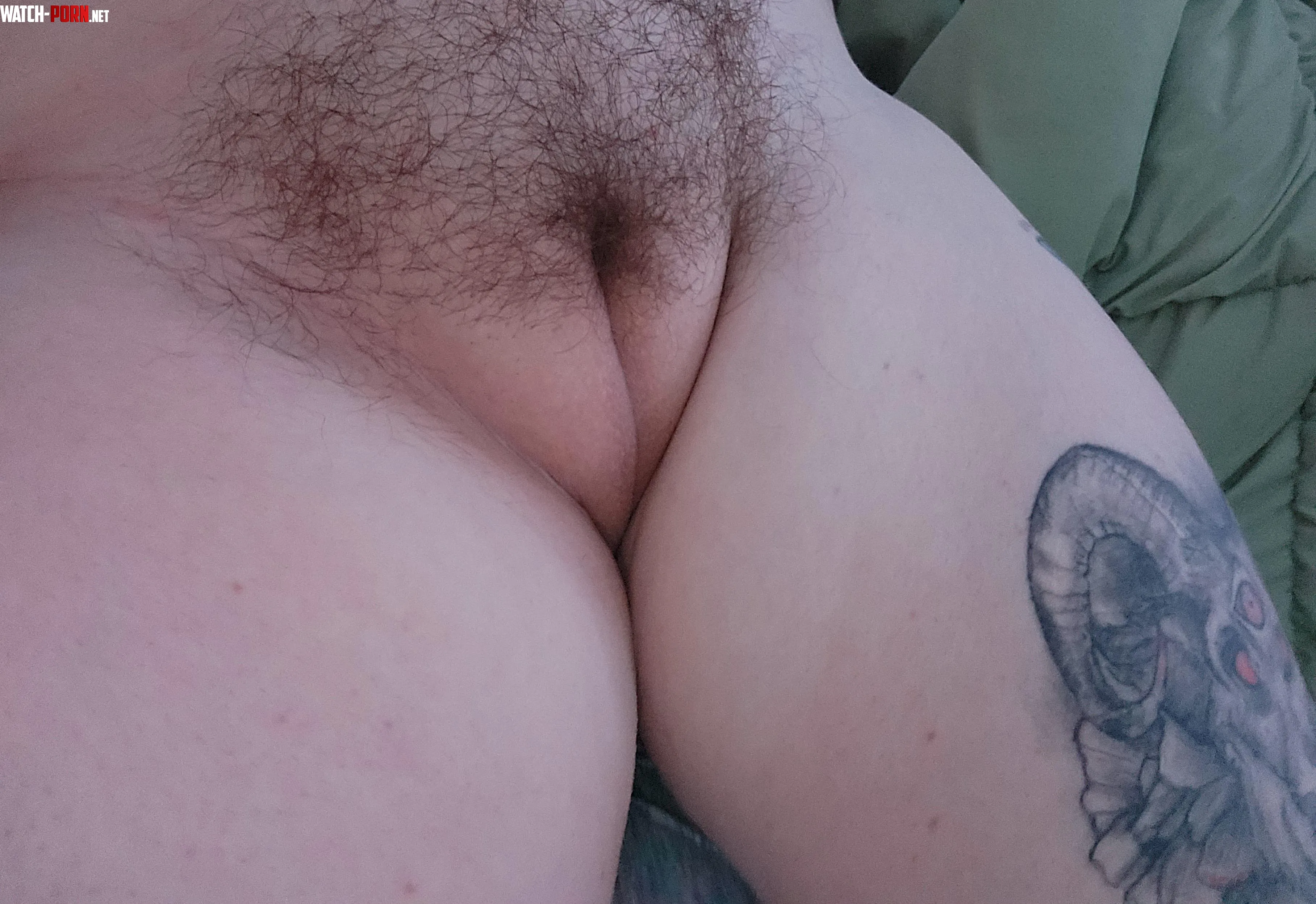 Trimmed her up Shes looking pretty  by lickitten