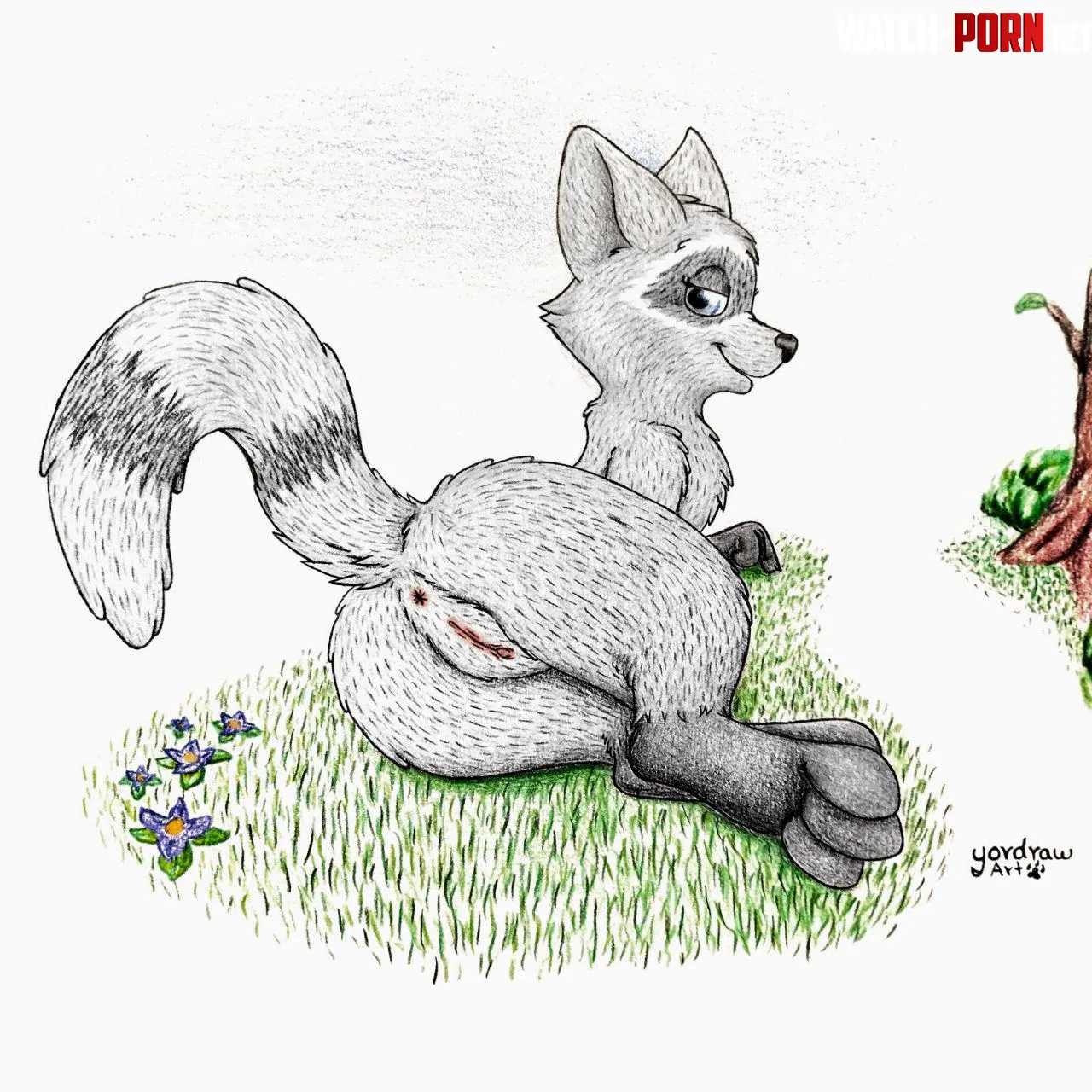 Raccoon Butt F Yordraw by Yordraw
