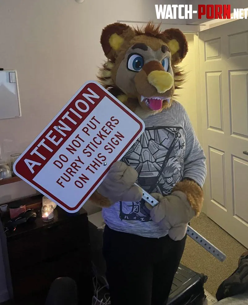 Time to take this to meets by Bill-the-bear