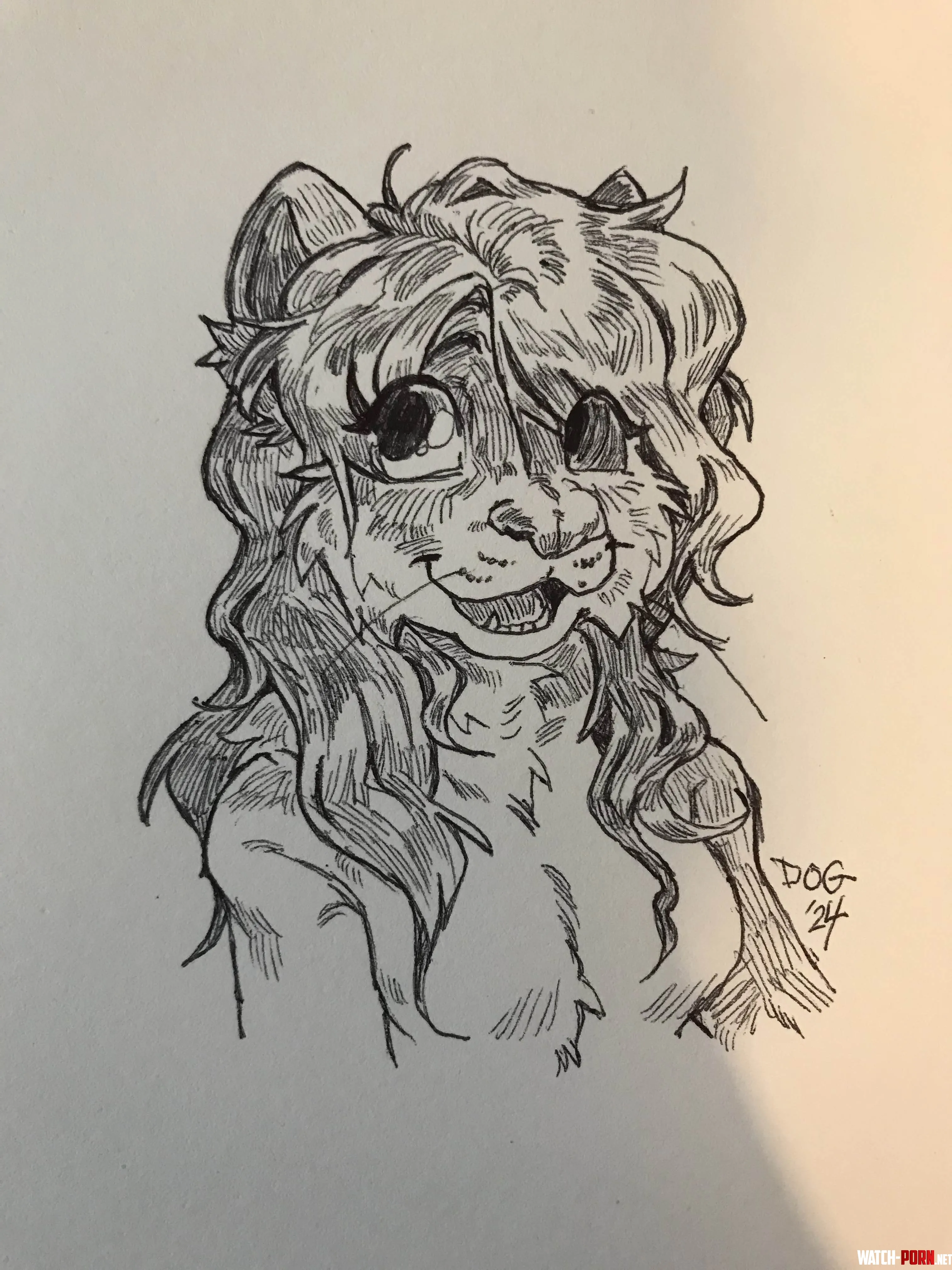 HAVE YOU SEEN THIS FERRET Now you have 3 art by my oc not mine by donburidog