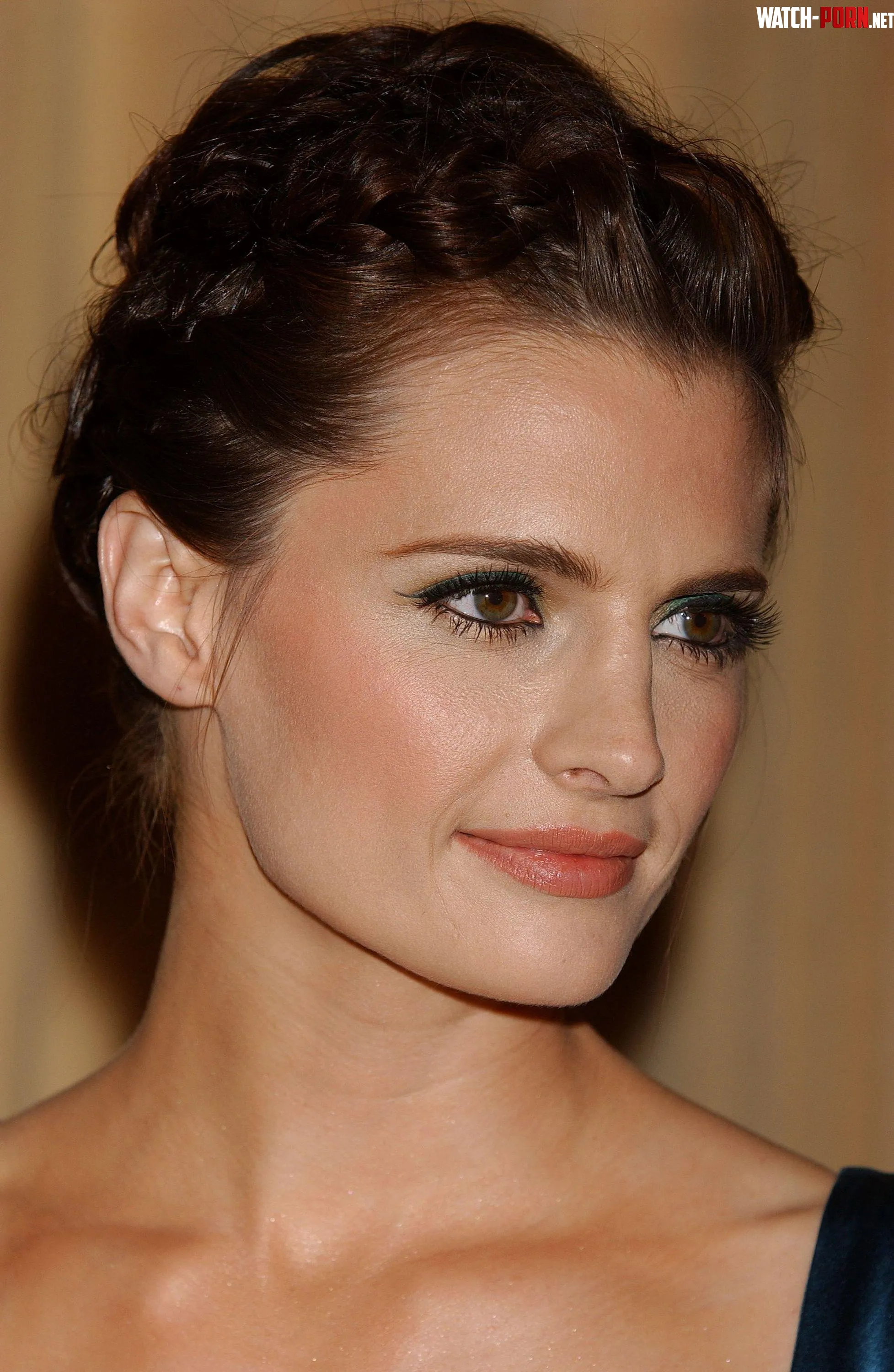 Stana Katic by rockyfortino