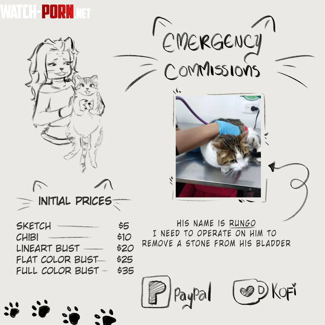 EMERGENCY COMMISSIONS Cat surgery  by yipsher03