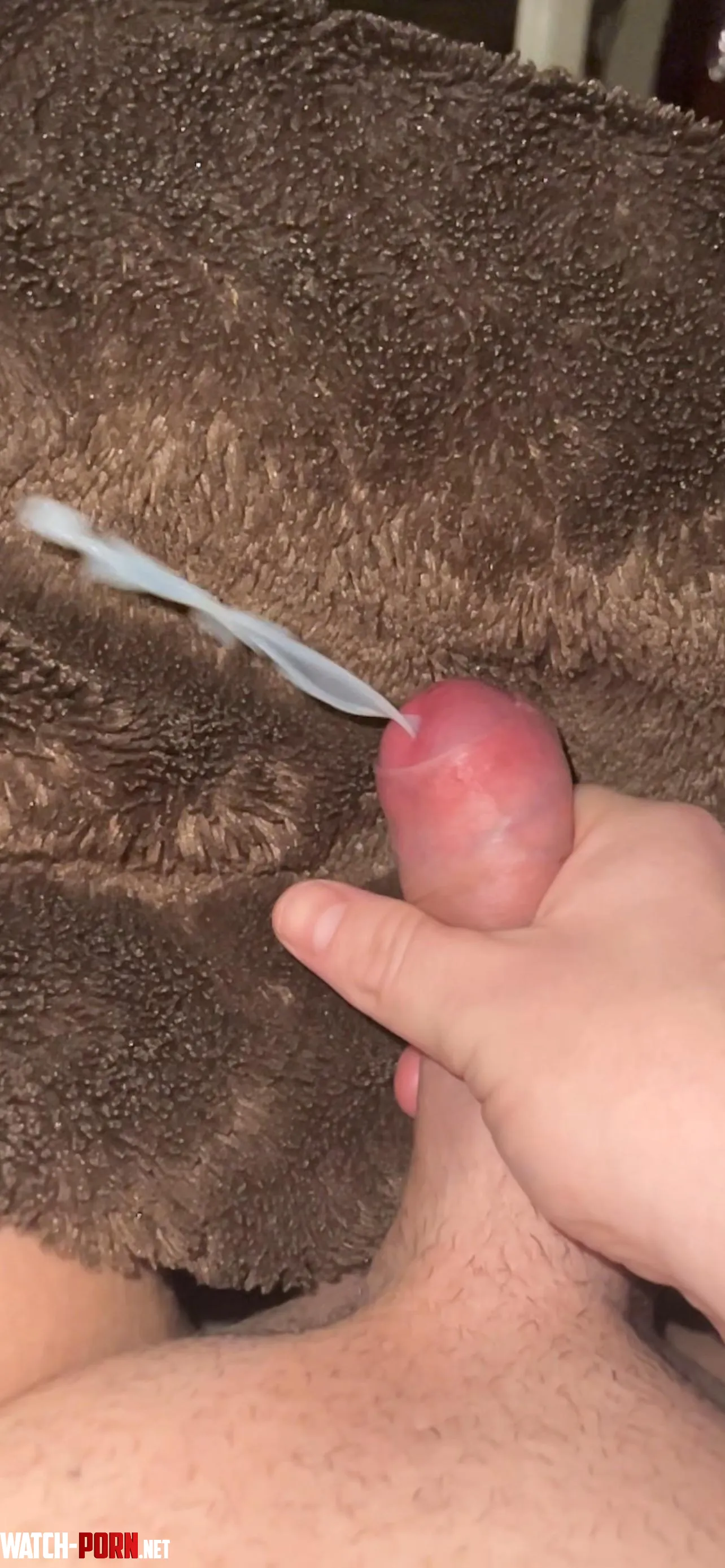 Balls emptied32 by No-Collar7283