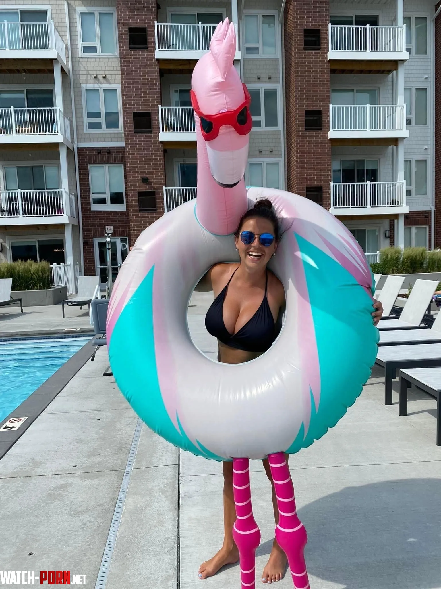 Flamingo by hungjohn-