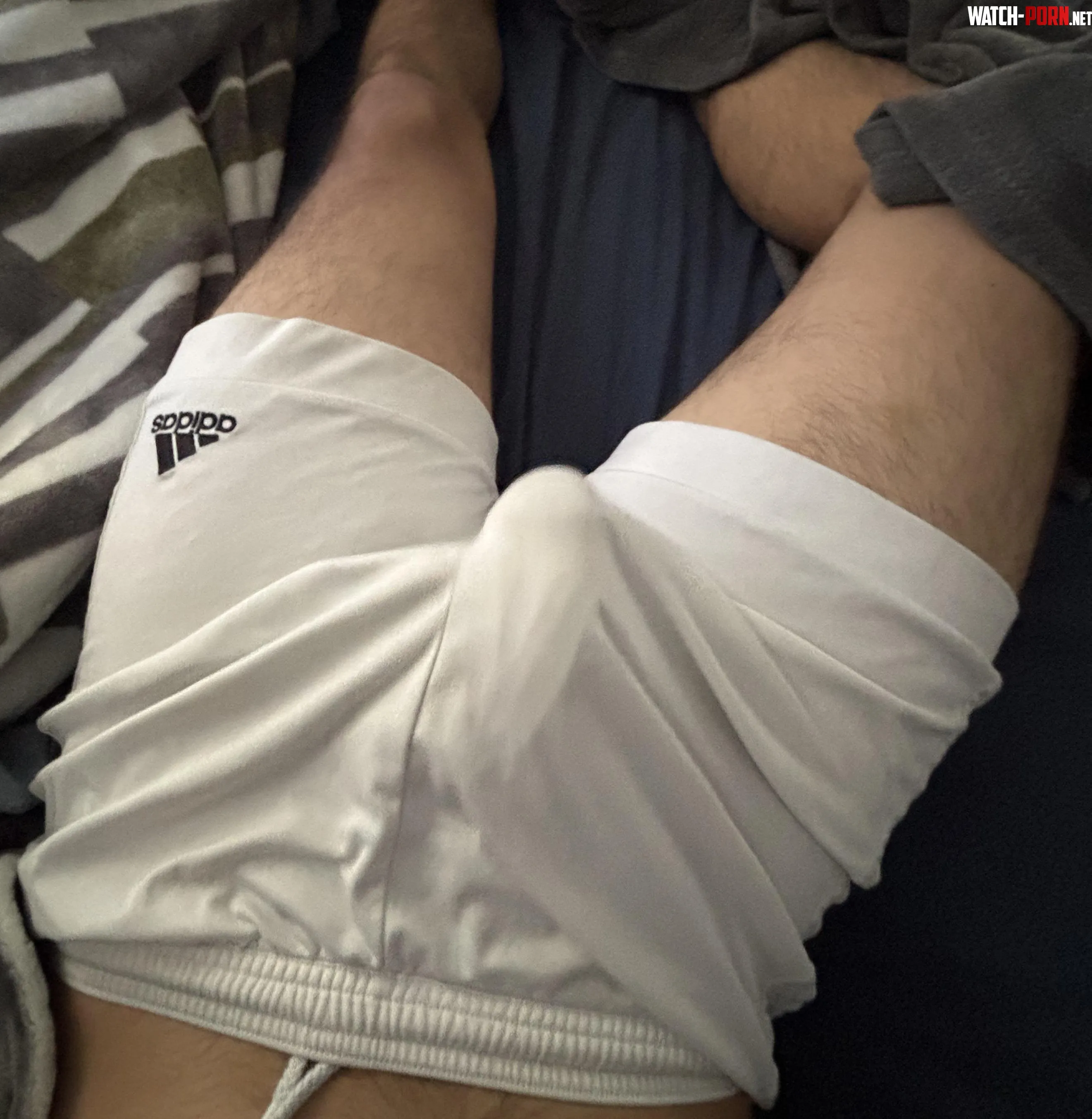 these white shorts might be the move18 by Illustrious-Baby-800