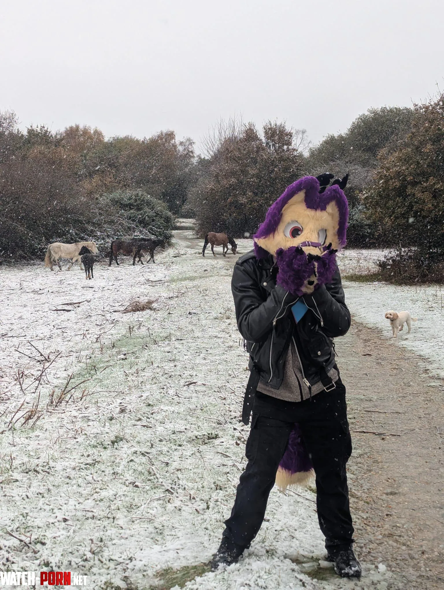 Happy fursuit Friday from England 3 by Illuminati8339yt