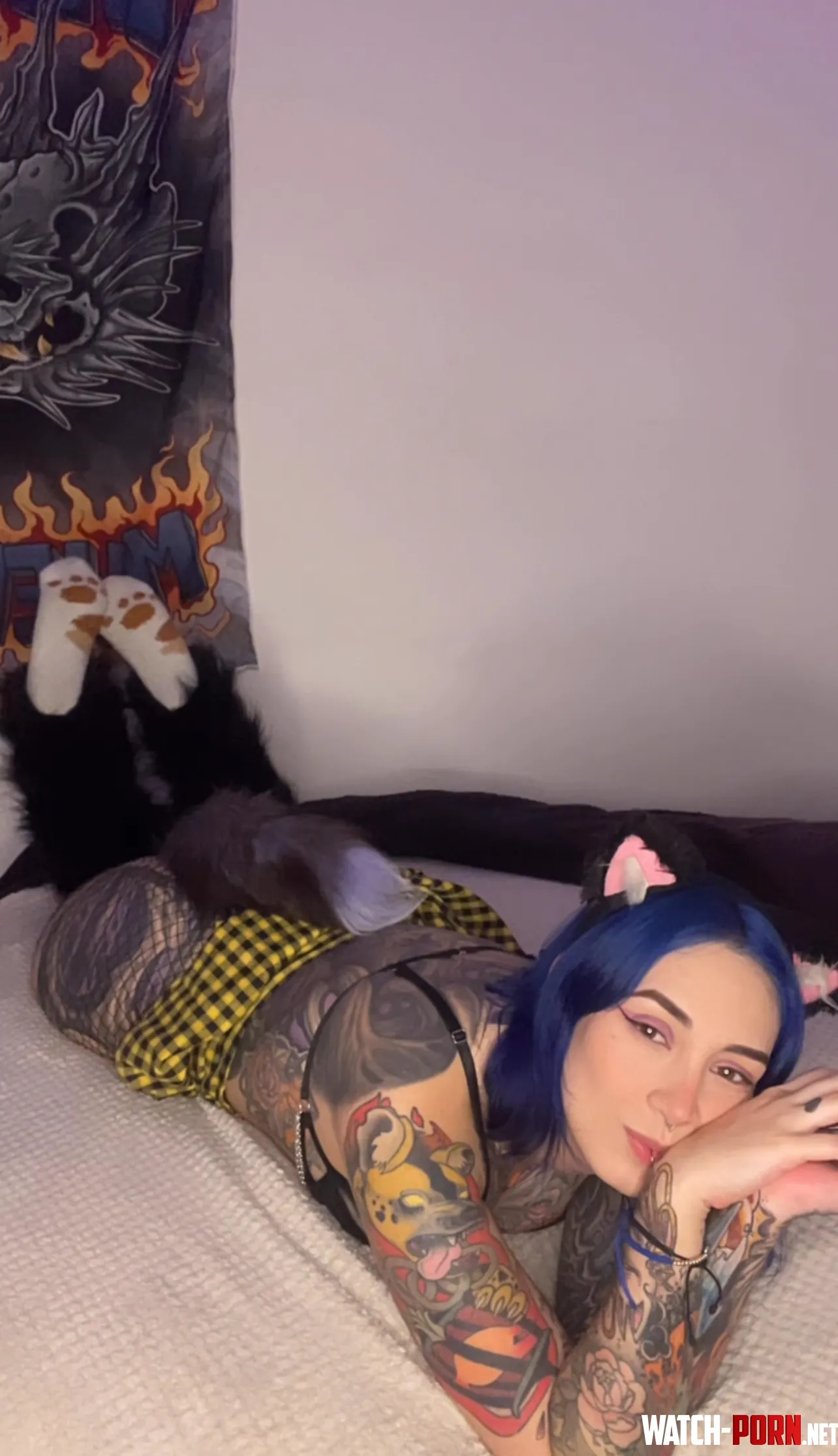 Looking for someone to help this kitten grow by lopakarit