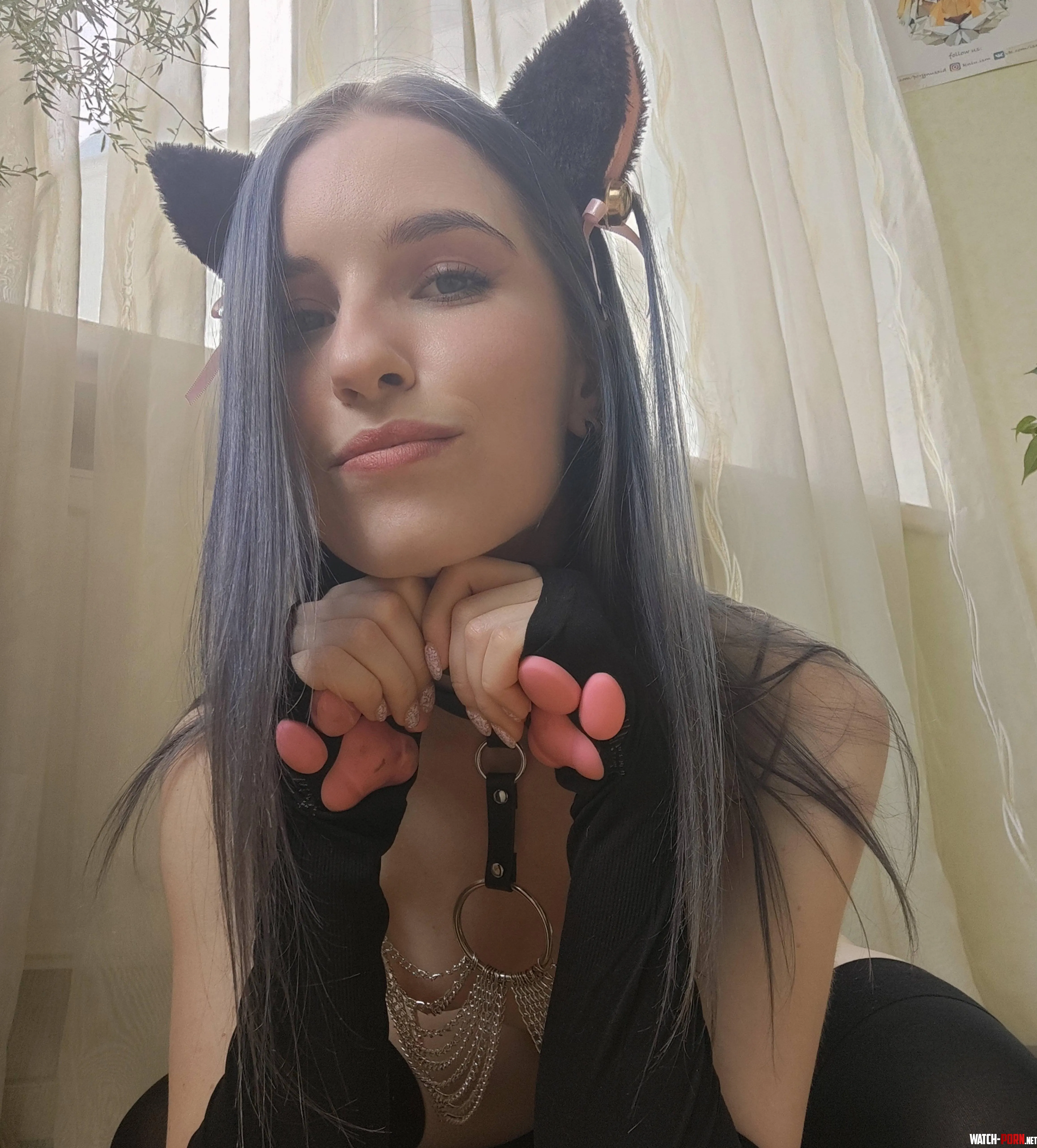 your sweet kitten will behave obediently by hailey_cute