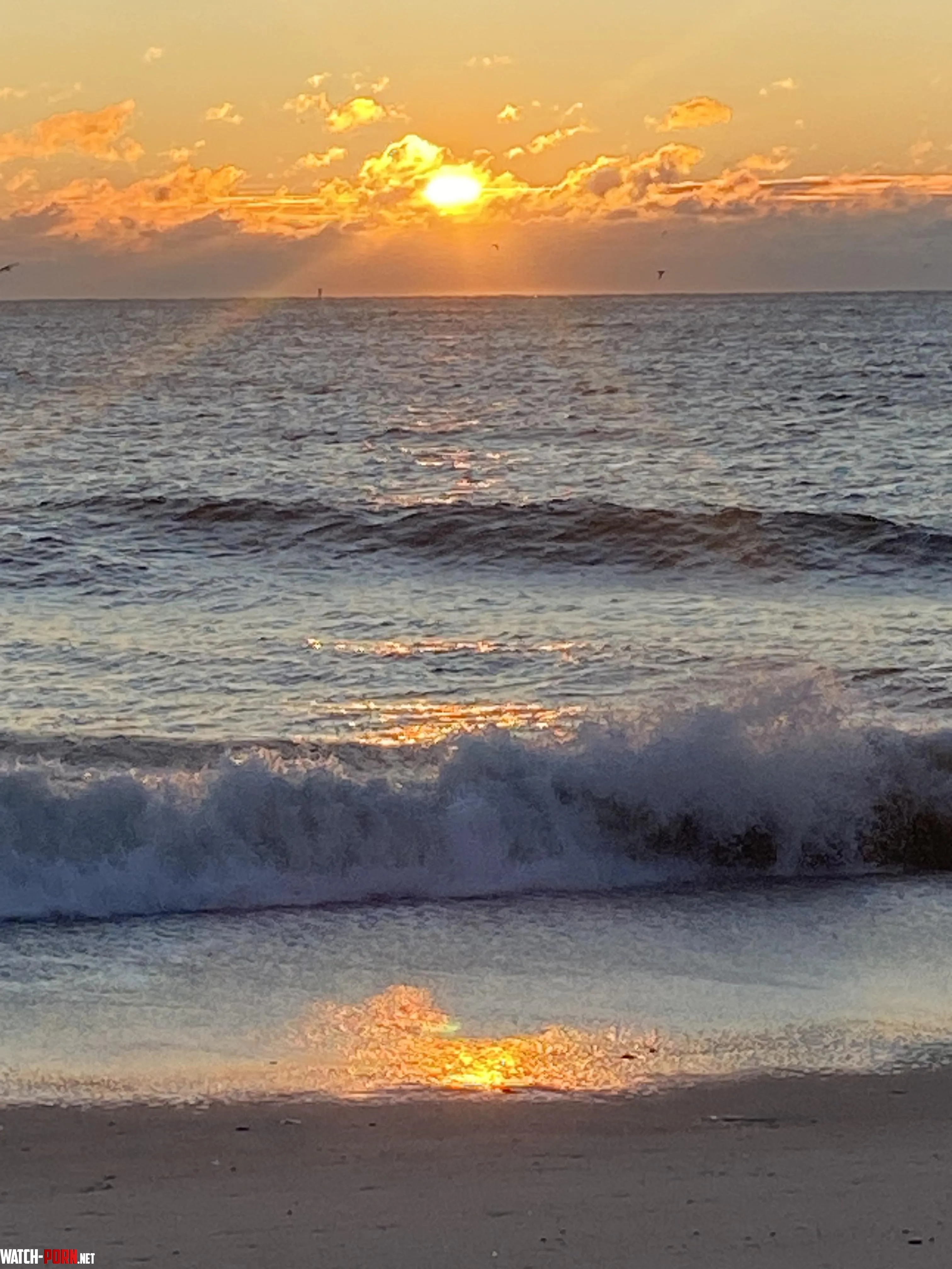 Mornin from the Jersey Shore  by bronxboy59