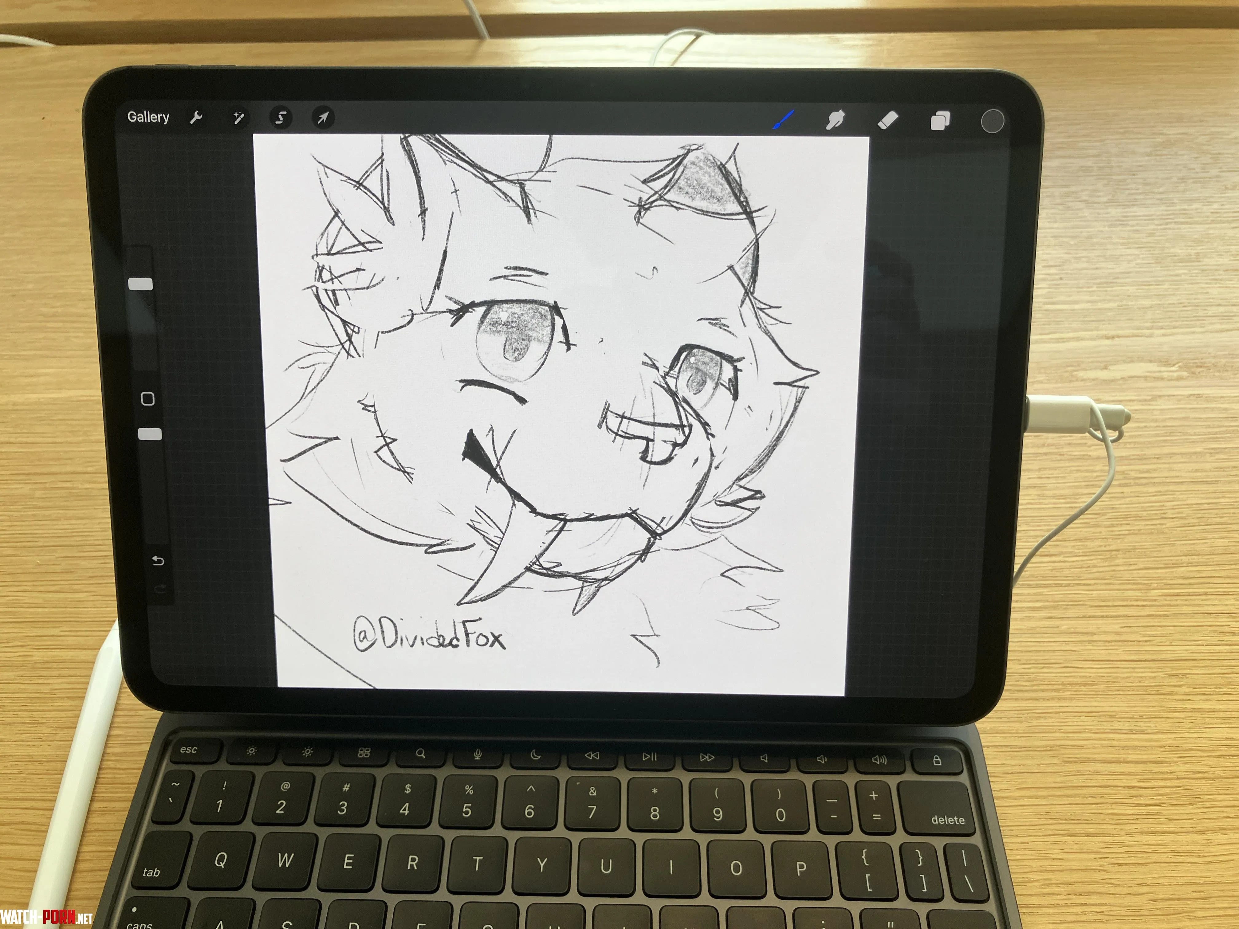 Furry art in the Apple Store gt3 by DividedFox