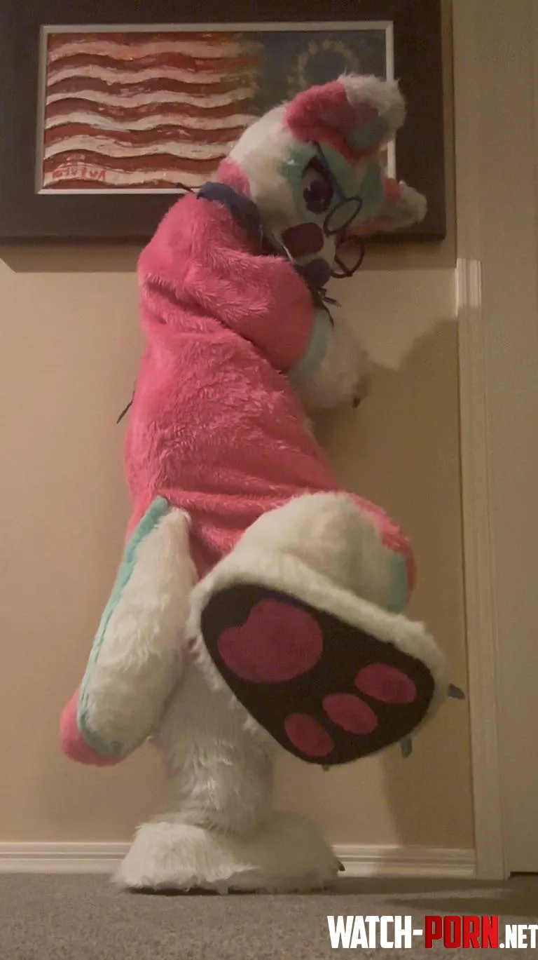 Fursuit Friday  by Ancient_Summer_1833