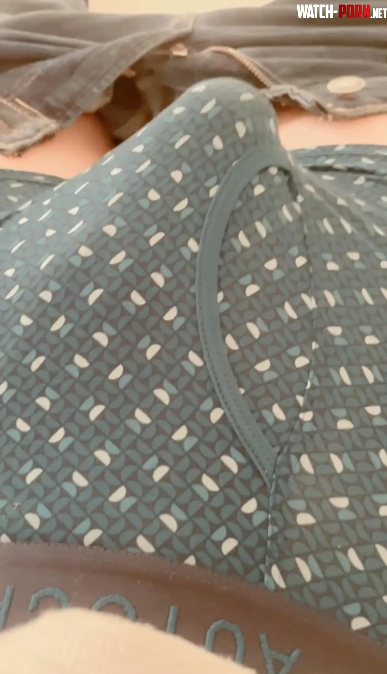  kiss my bulge  by Prudent_Royal_9478