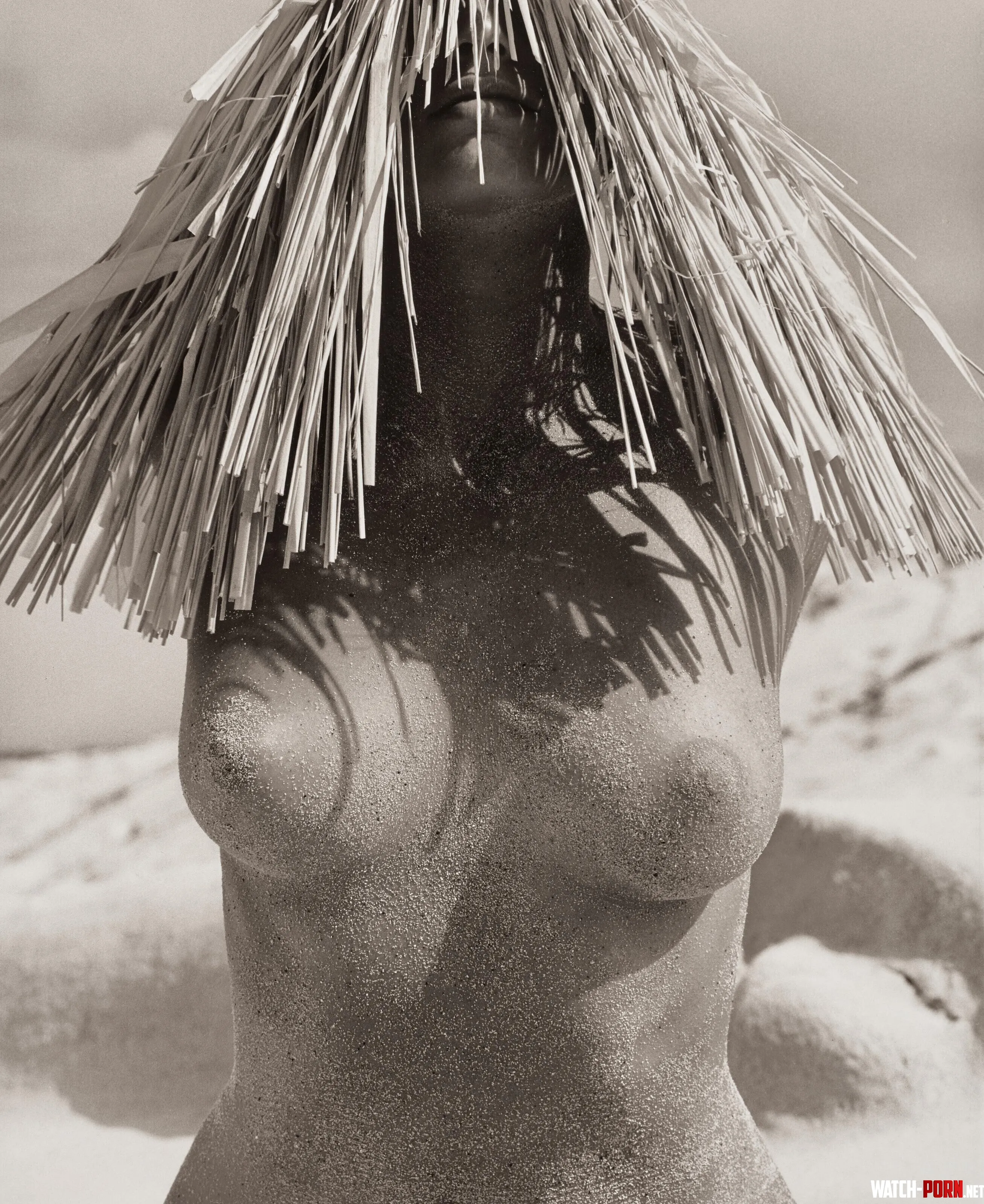 Cindy Crawford by Herb Ritts  Women with straw hat 1988 by GarbegeMan