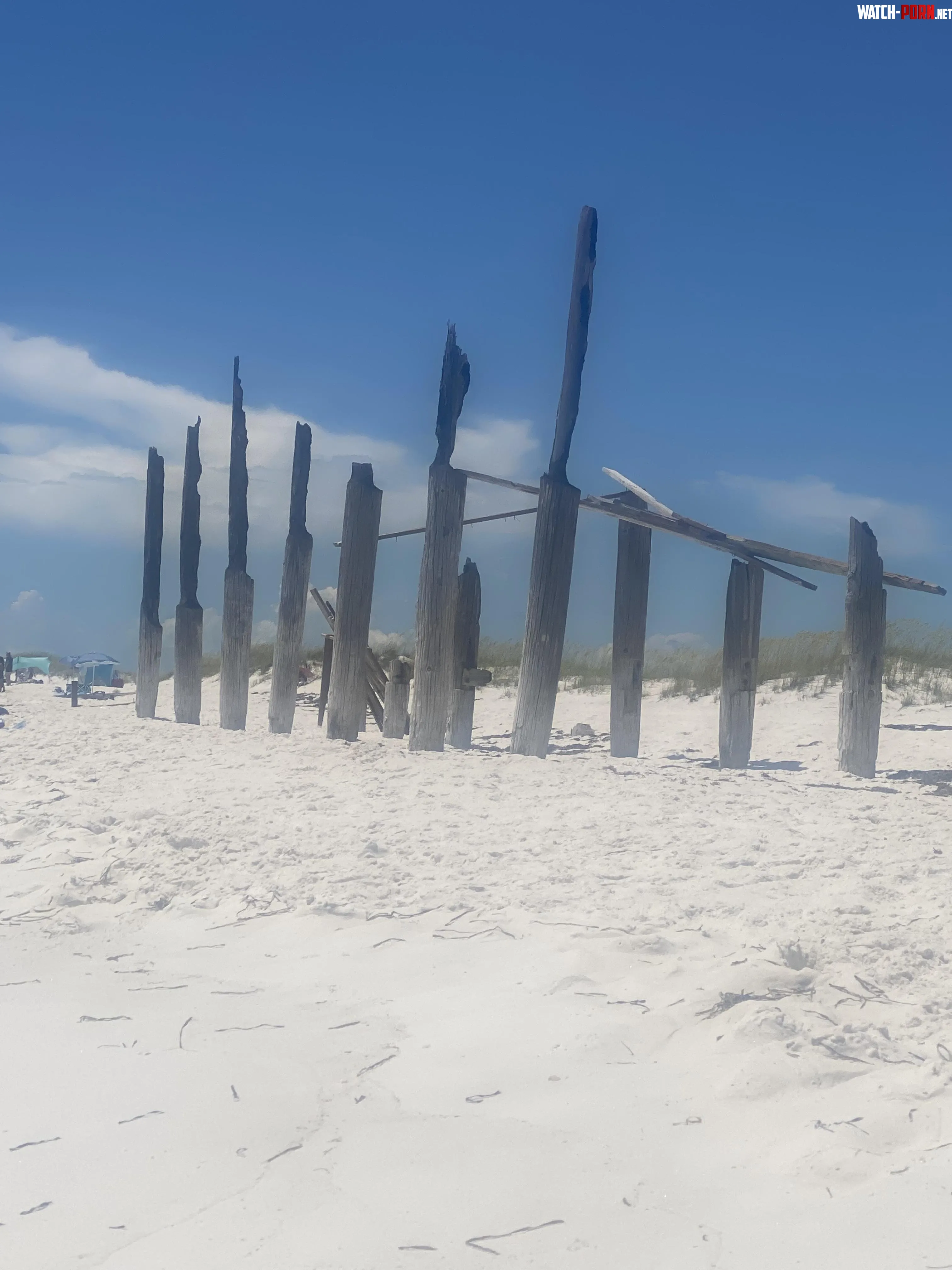 This was on shell island near Panama City Beach It mustve been a pier at one point It looks so cool now  by Fabulous_Fall7460