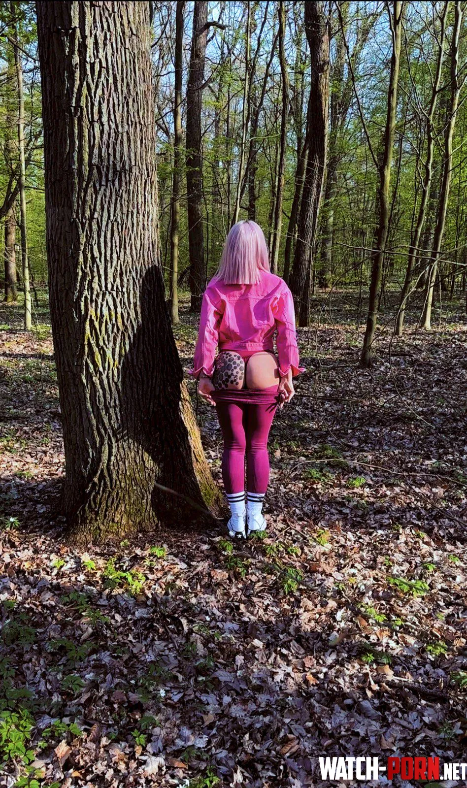 in the woods  by cosplay_kte