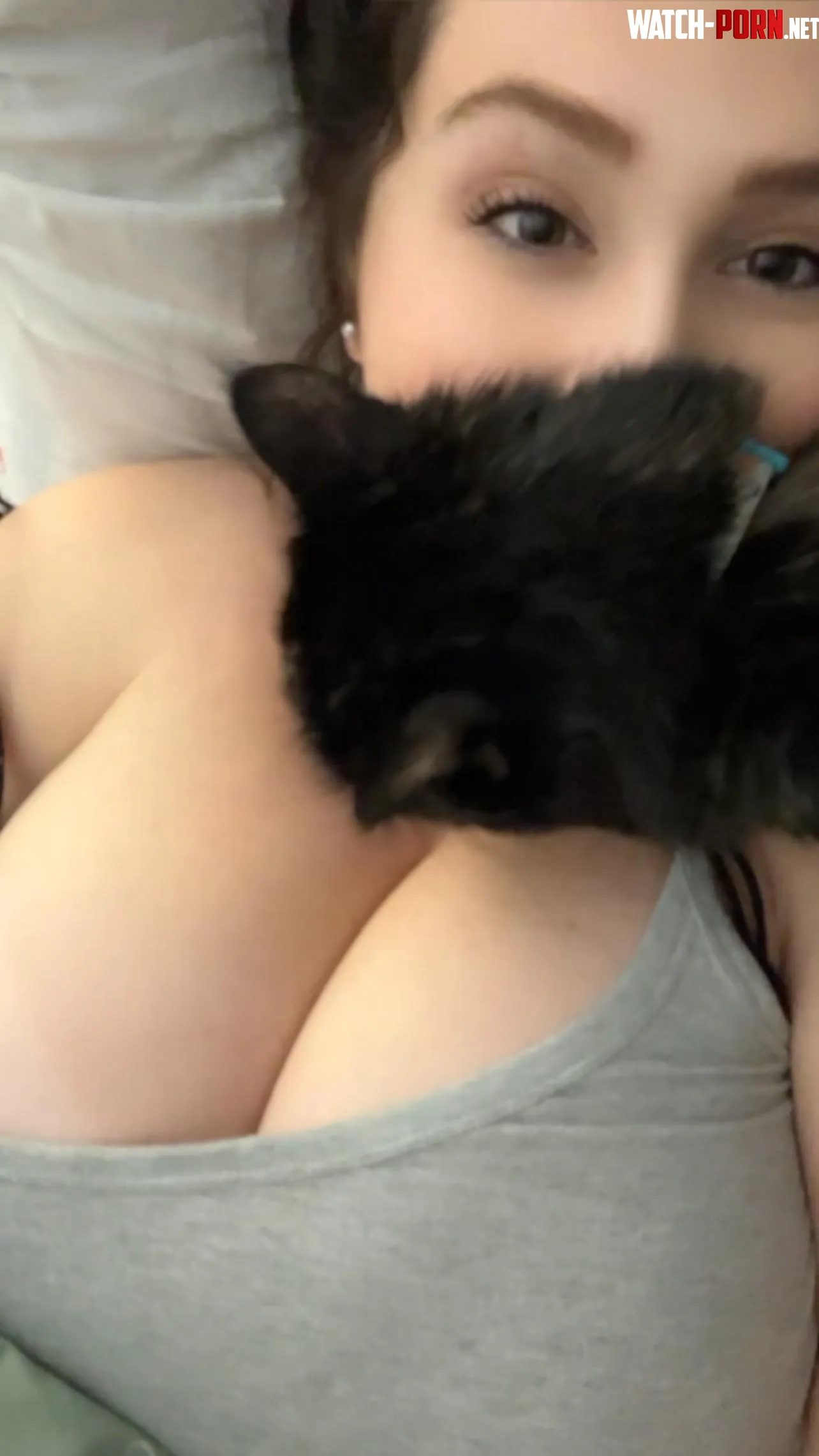 Kitties and Titties  by PretendMongoose9113