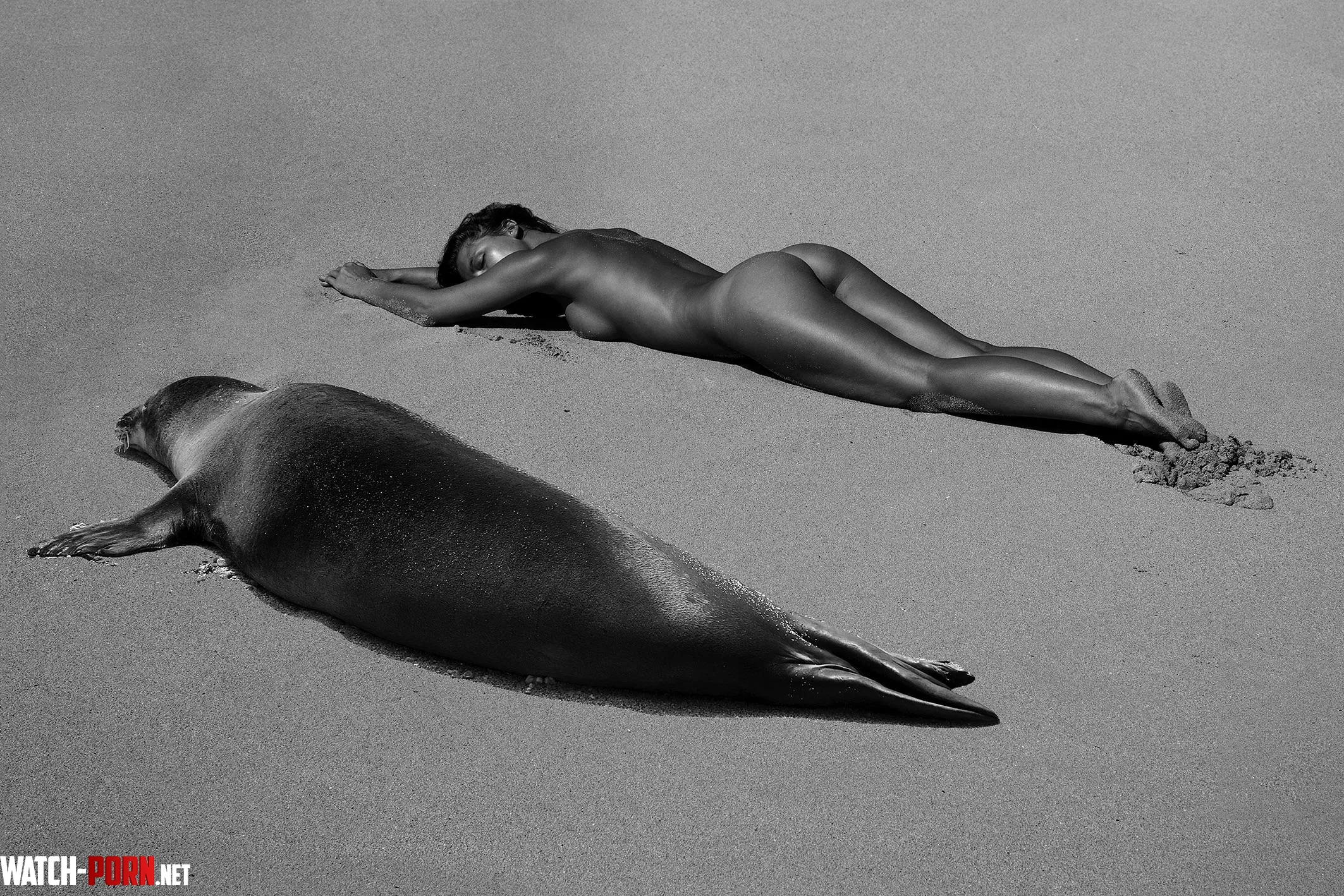 Marisa Papen at the top of the photo by Michael Chichi by GarbegeMan