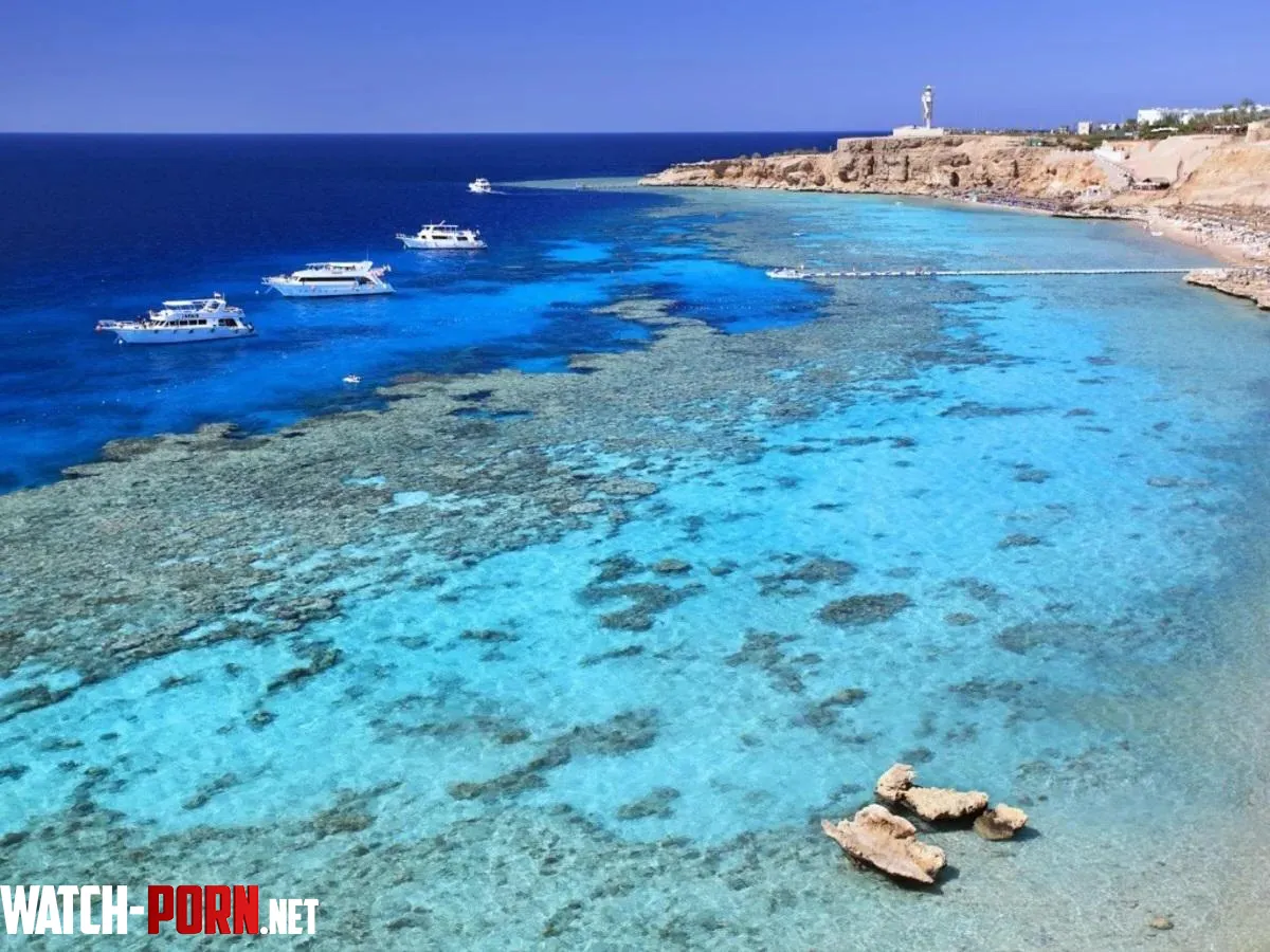 Ras Umm Sid Egypt by urrielu