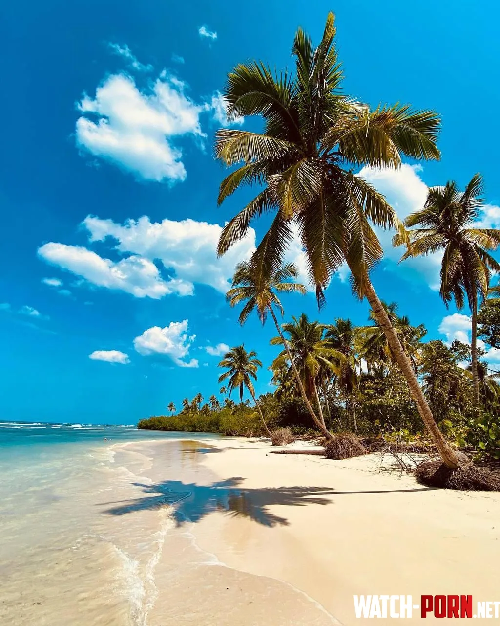Beach Ancln Dominican Republic by xxFoxyJeans_17