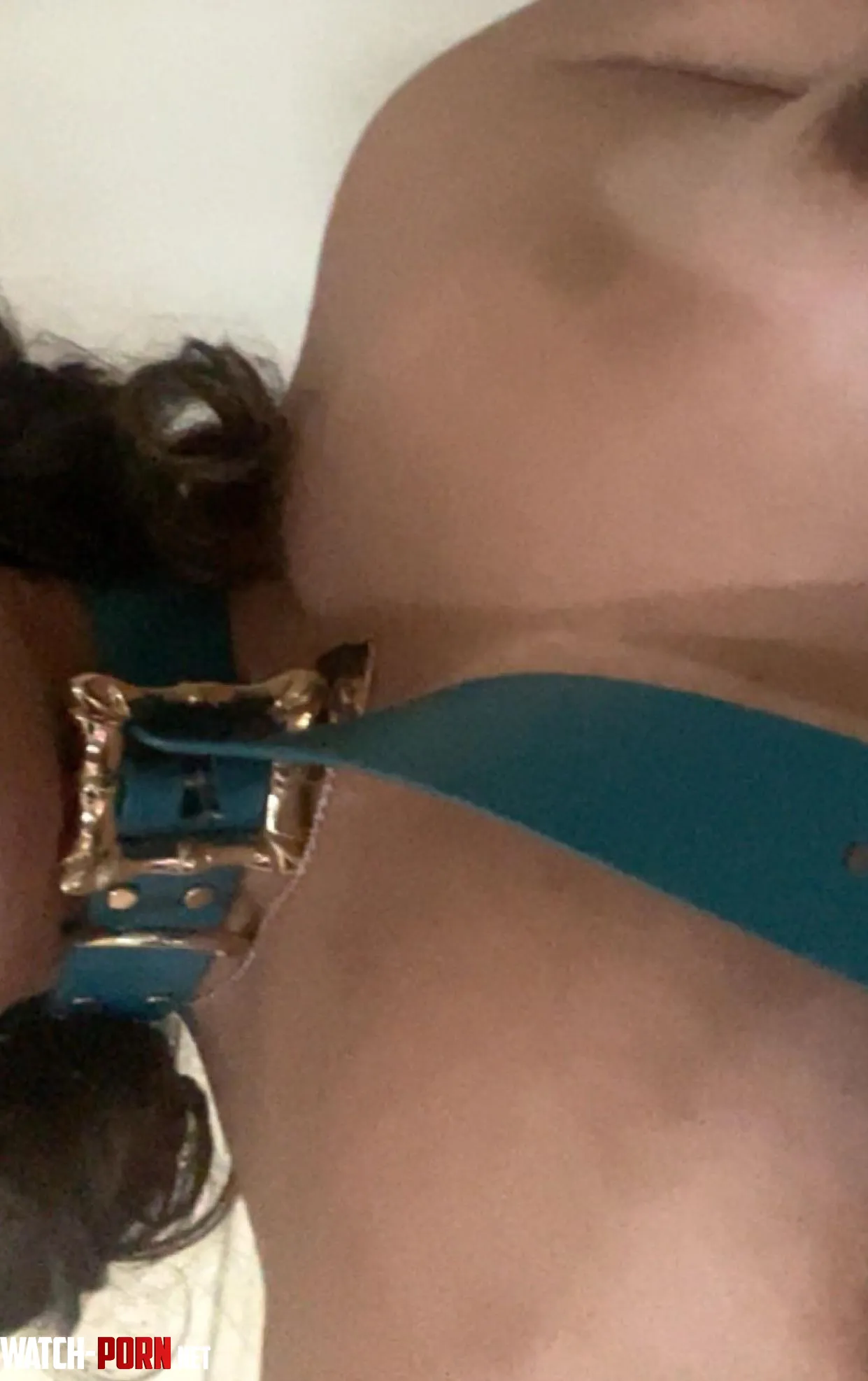 Love having a collar on  by SensitiveOpinion8885