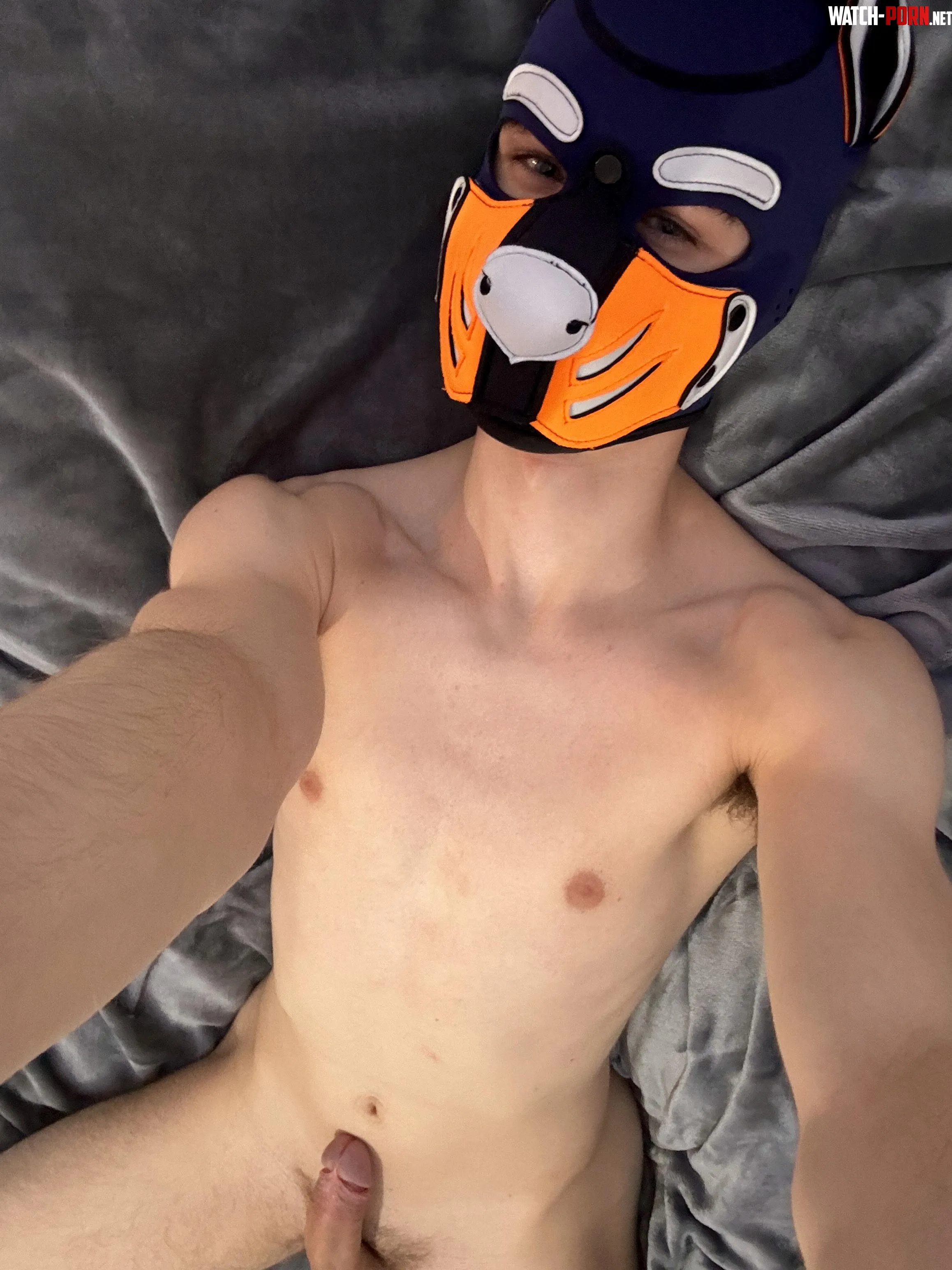 Do I look like a good boy  by Jake_Taro