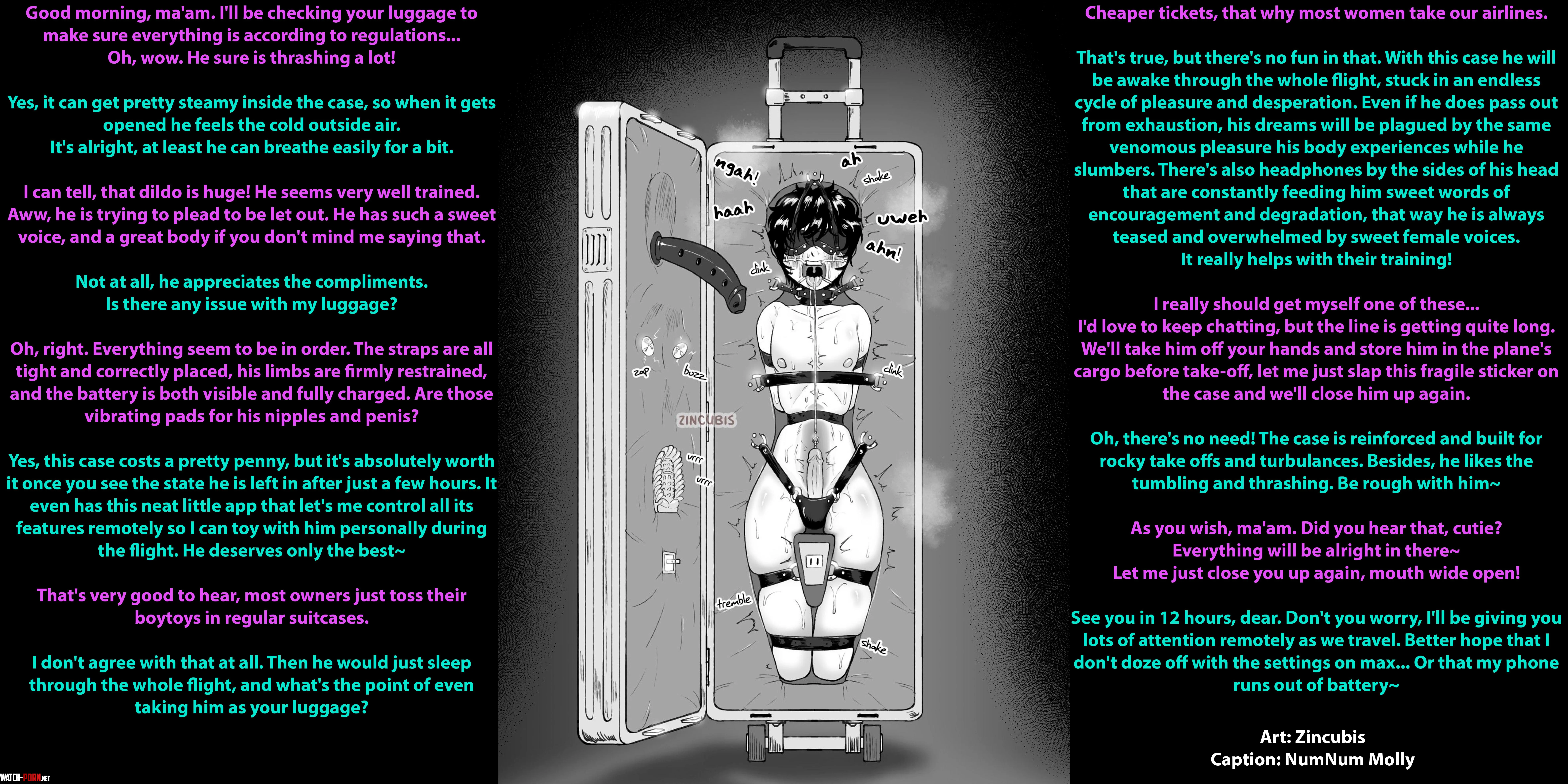 BoyLuggage Airlines FemboyFemdomBondageLuggageEncasementDilgo GagVibratorsBlindfoldArtist Zincubis by Sombraros