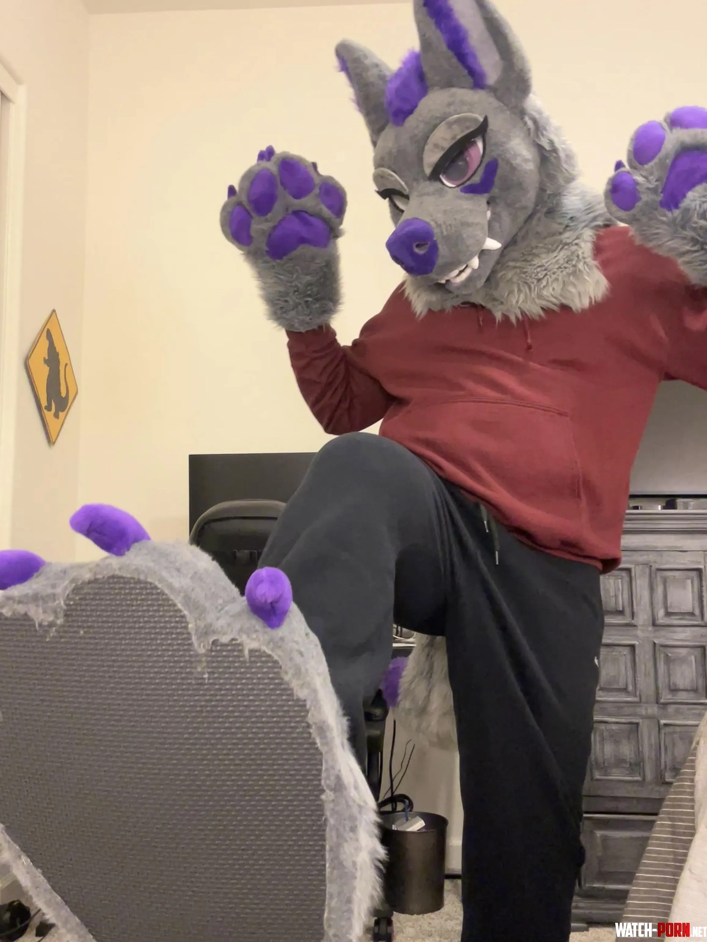 Are you team paws or team maws by Dominant_Dinosaur