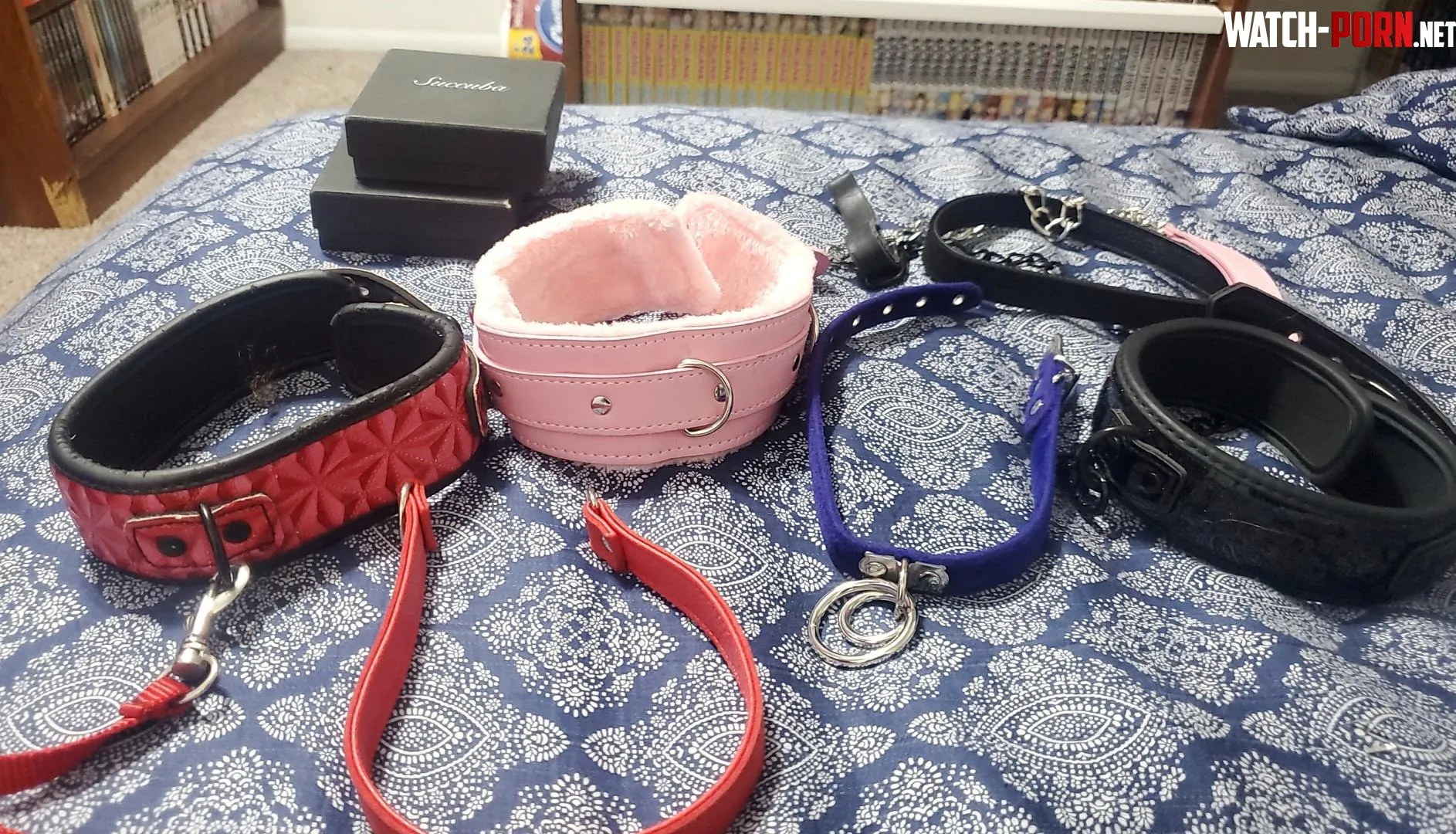 Need a cute pet to try these on  by JaganHiei
