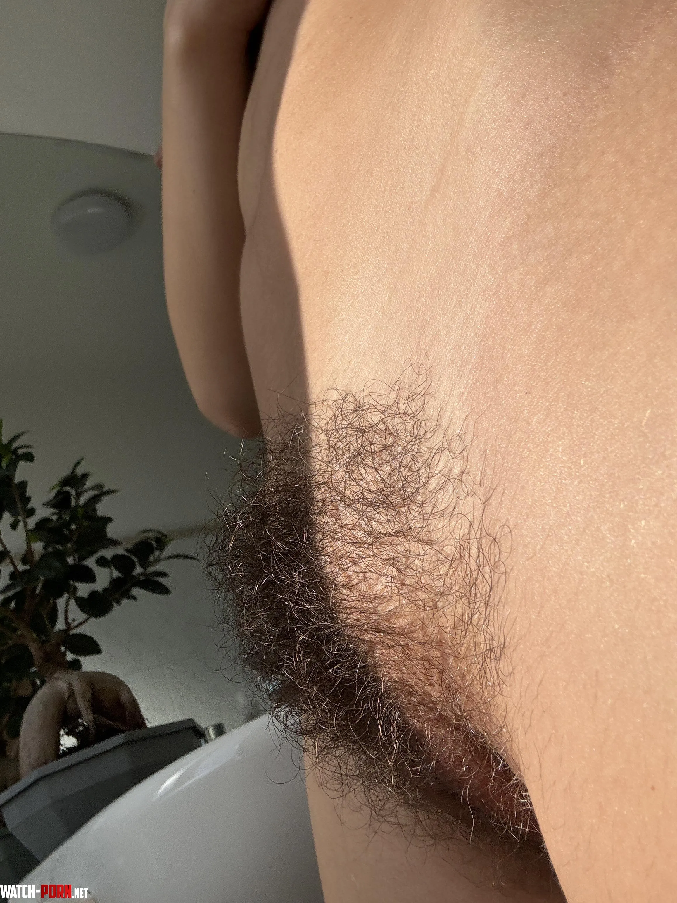 I love this length of bush The perfect amount  by tomikoari