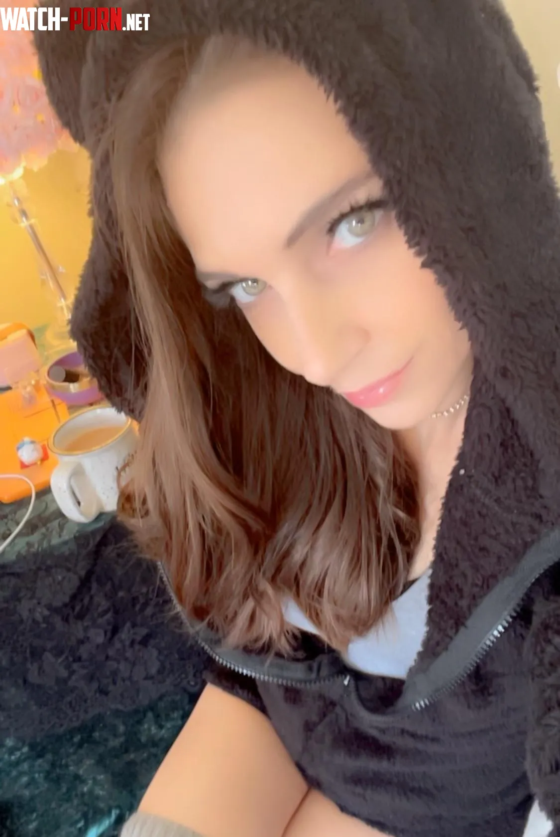 30f Hi nice to meet you Im a bear or a mouse or something  by AdFabulous4767