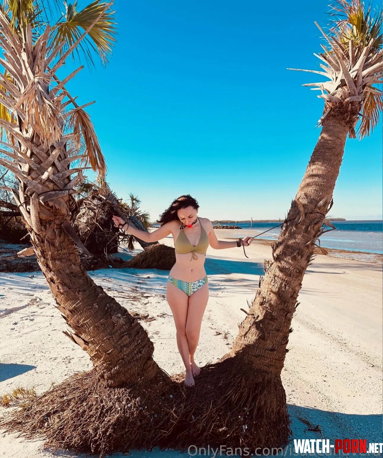 Beach Bikini Bondage by IV_bondage_duo