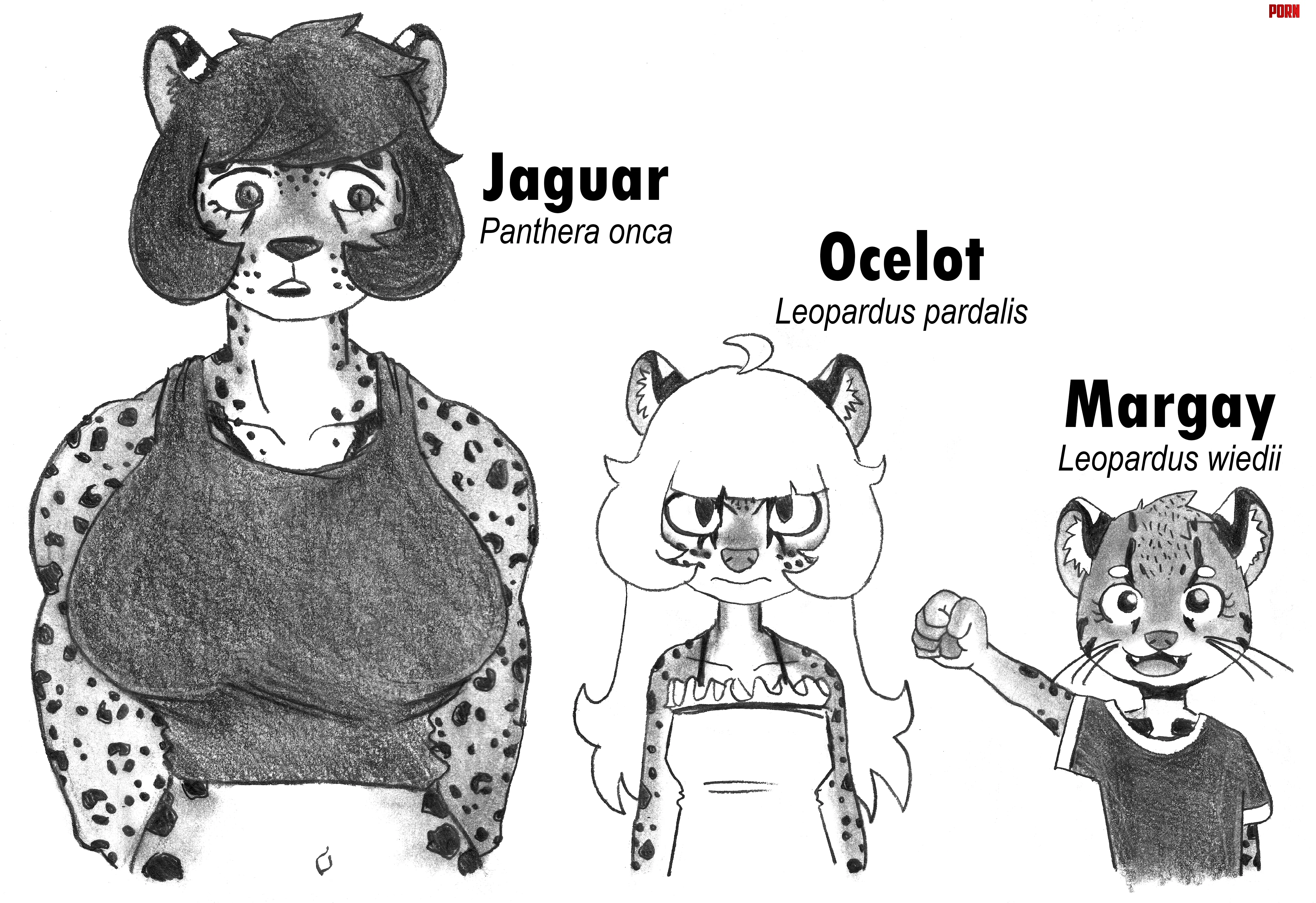 Spotted kitties art by me by REfra1004