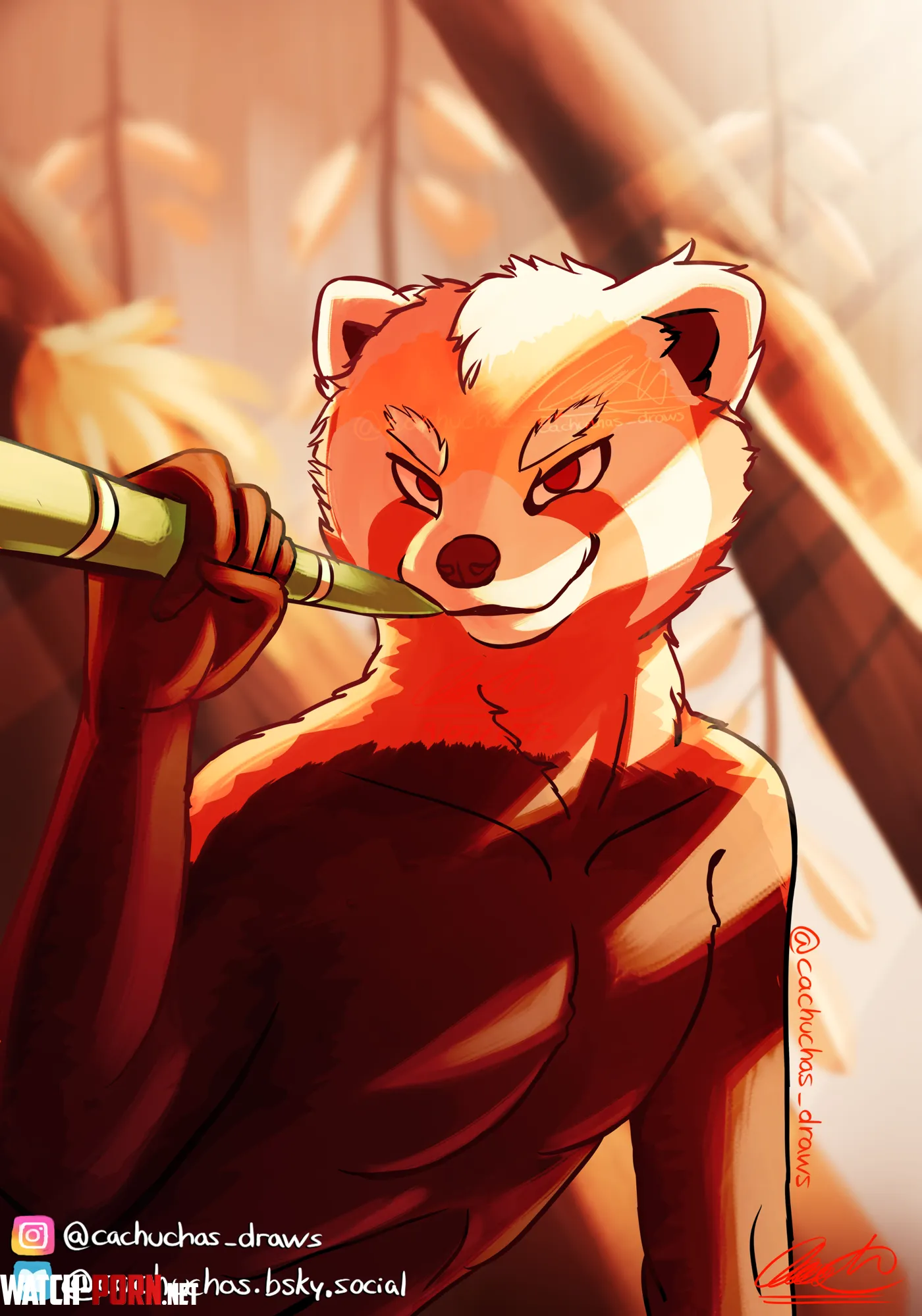 Carlson hmm Cachuchasdraws by Cachuchotas