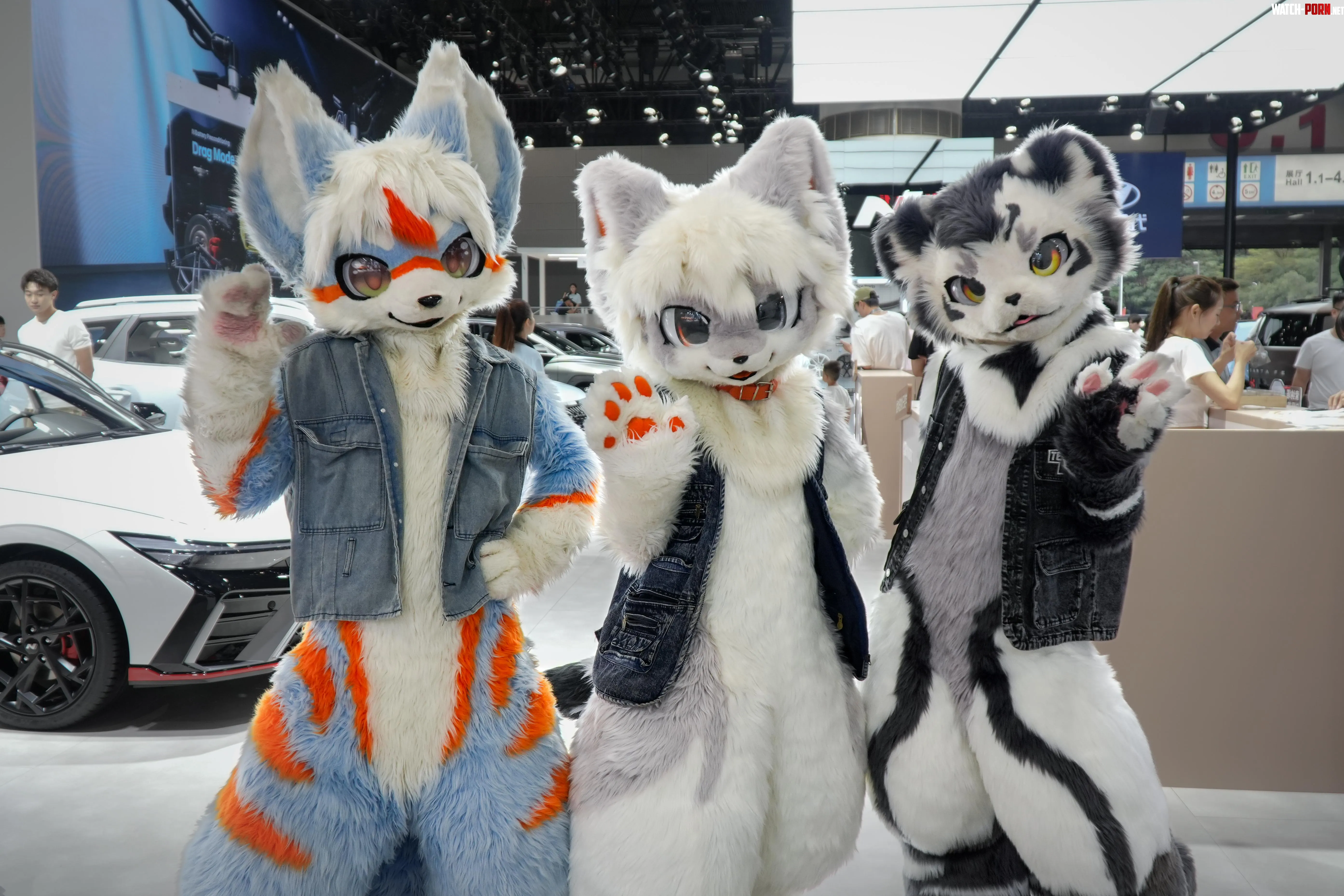 FursuitFriday with Lightmjay Fish amp Gintan  by Dragoniel