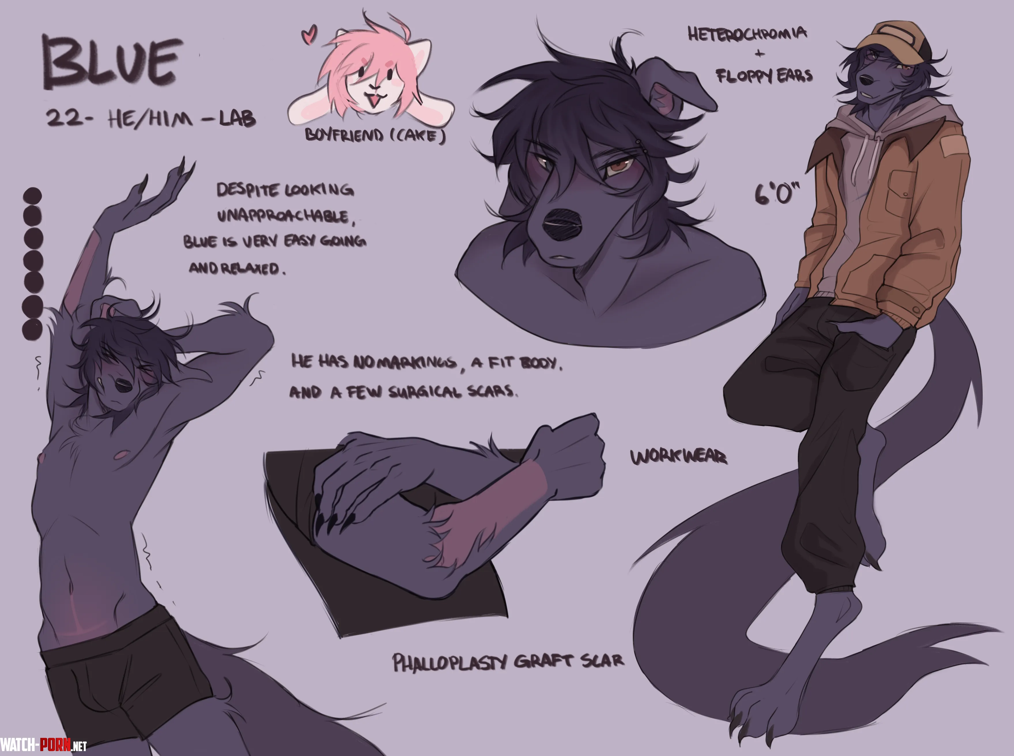 finally did a proper ref for my boy D by dognightmare6