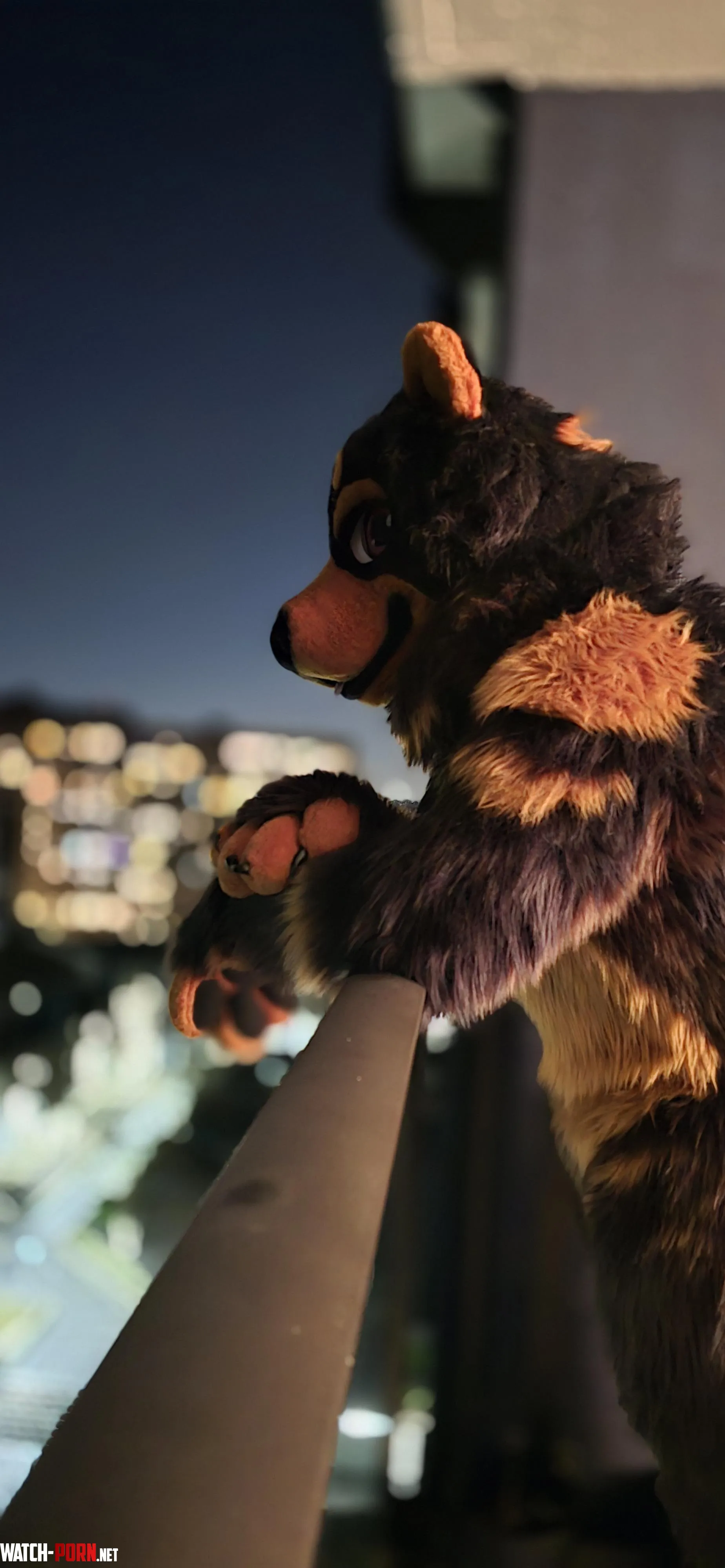 Happy fursuit Friday by Lvovich