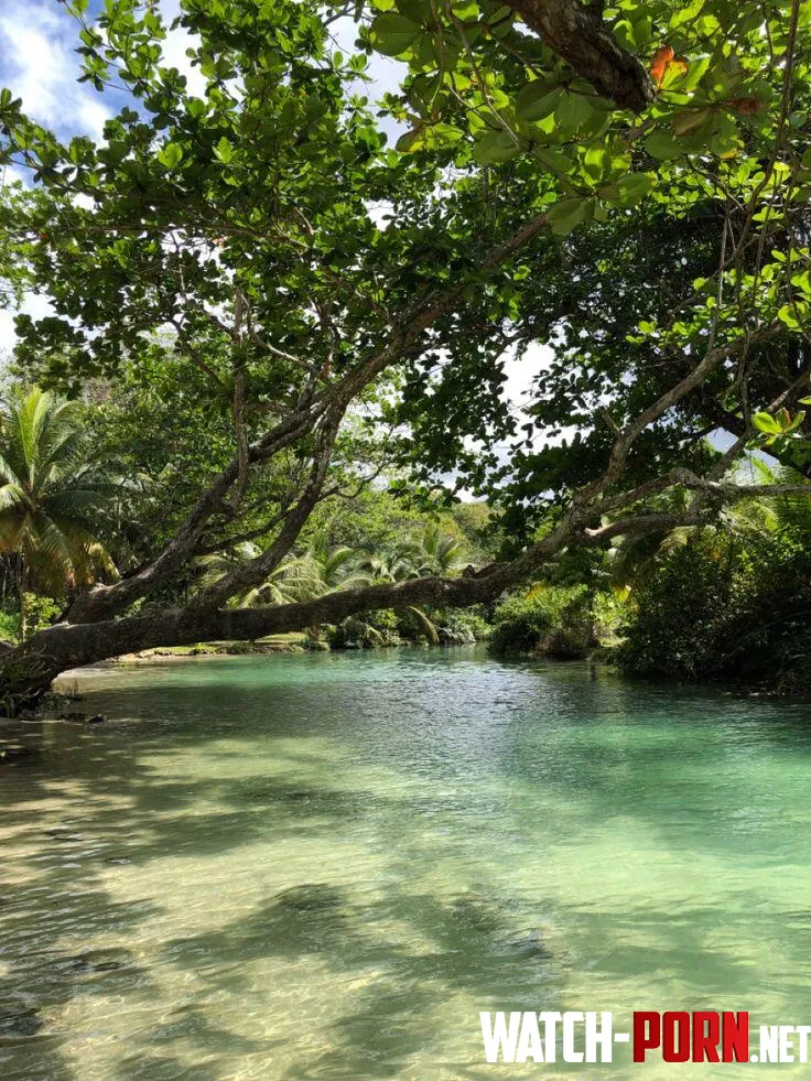 Frenchmans cove Jamaica  by colapepsikinnie