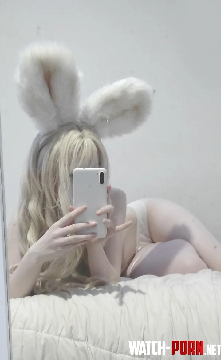 anyone interested in a bunny  by sophiiglow