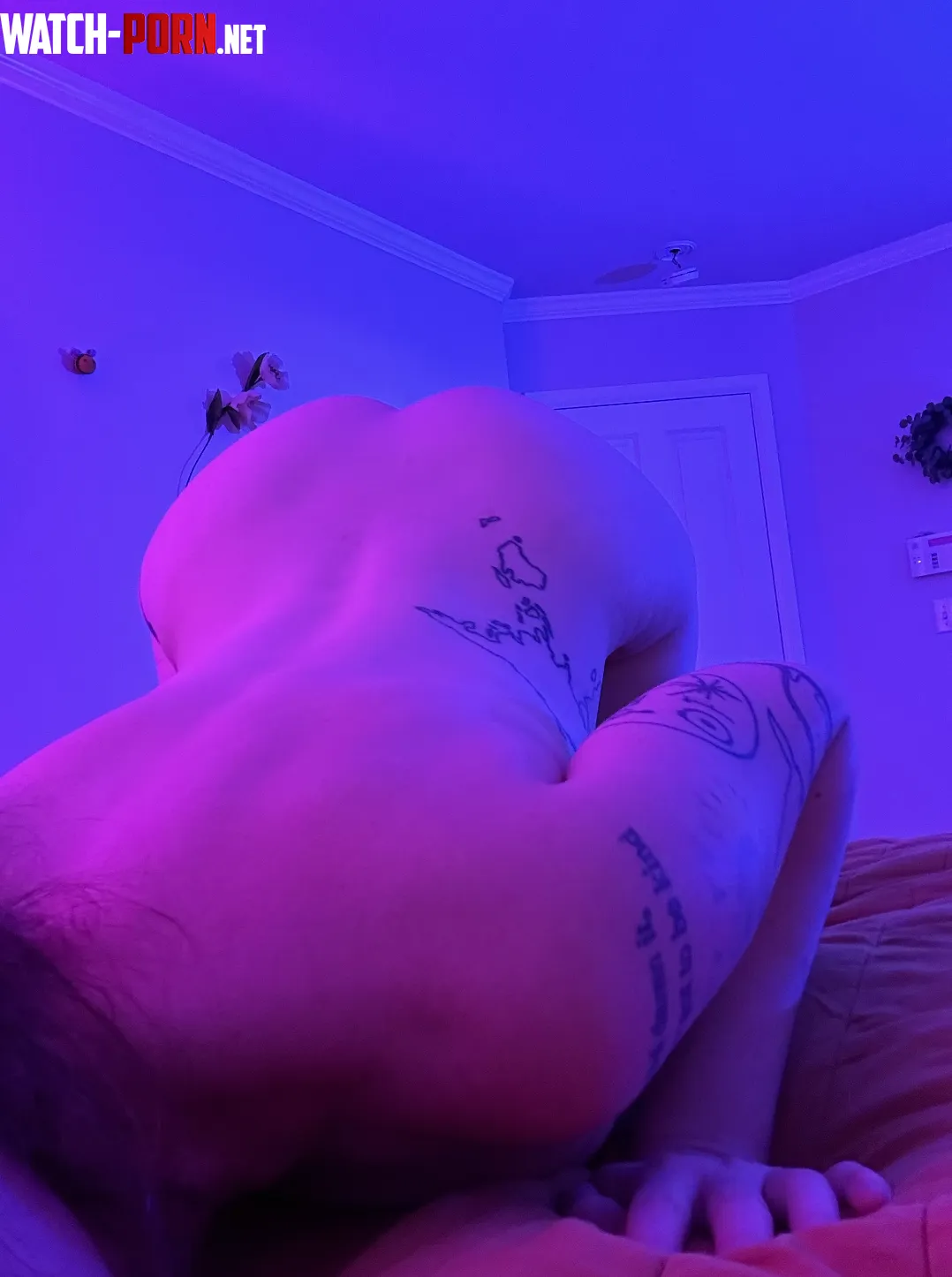 Face down ass up by penny-for-luck