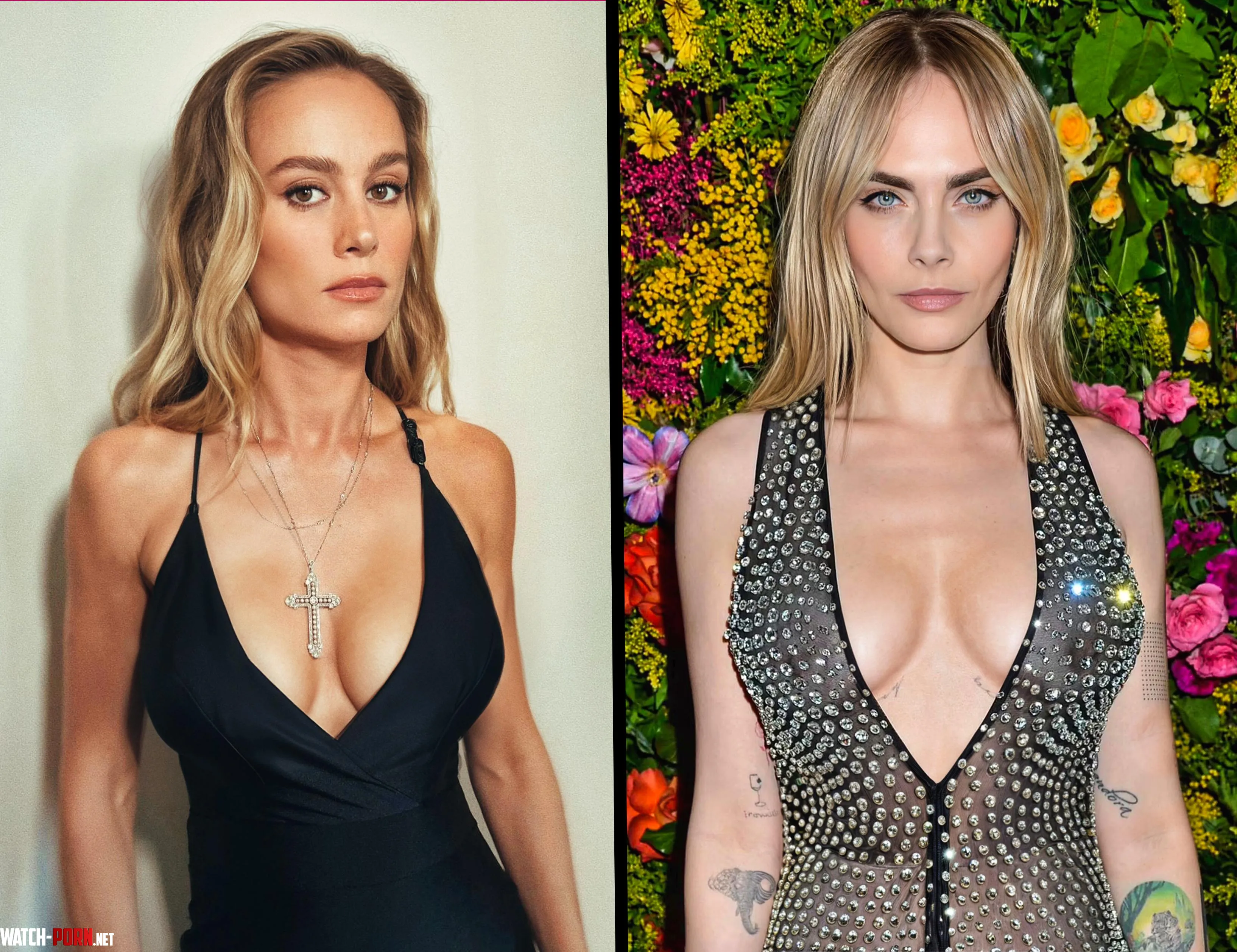 Actress Brie Larson or Cara Delevingne by Emma17229