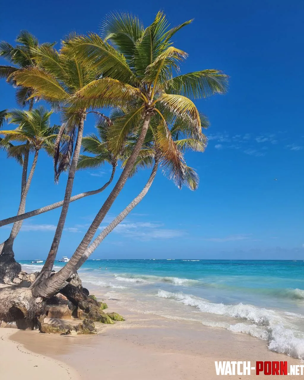 Bavaro Beach Dominican Republic lt3 by xxFoxyJeans_17