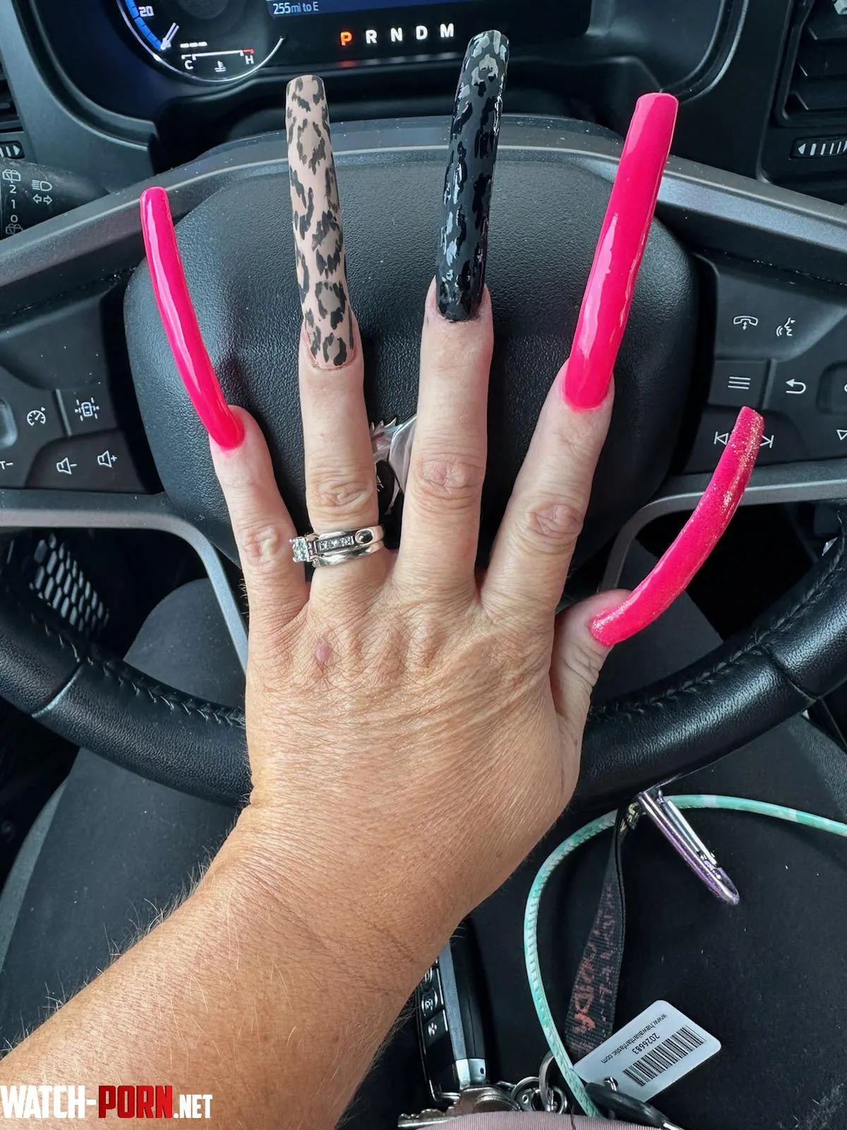 Would you like your back scratched by sexywifekatt23