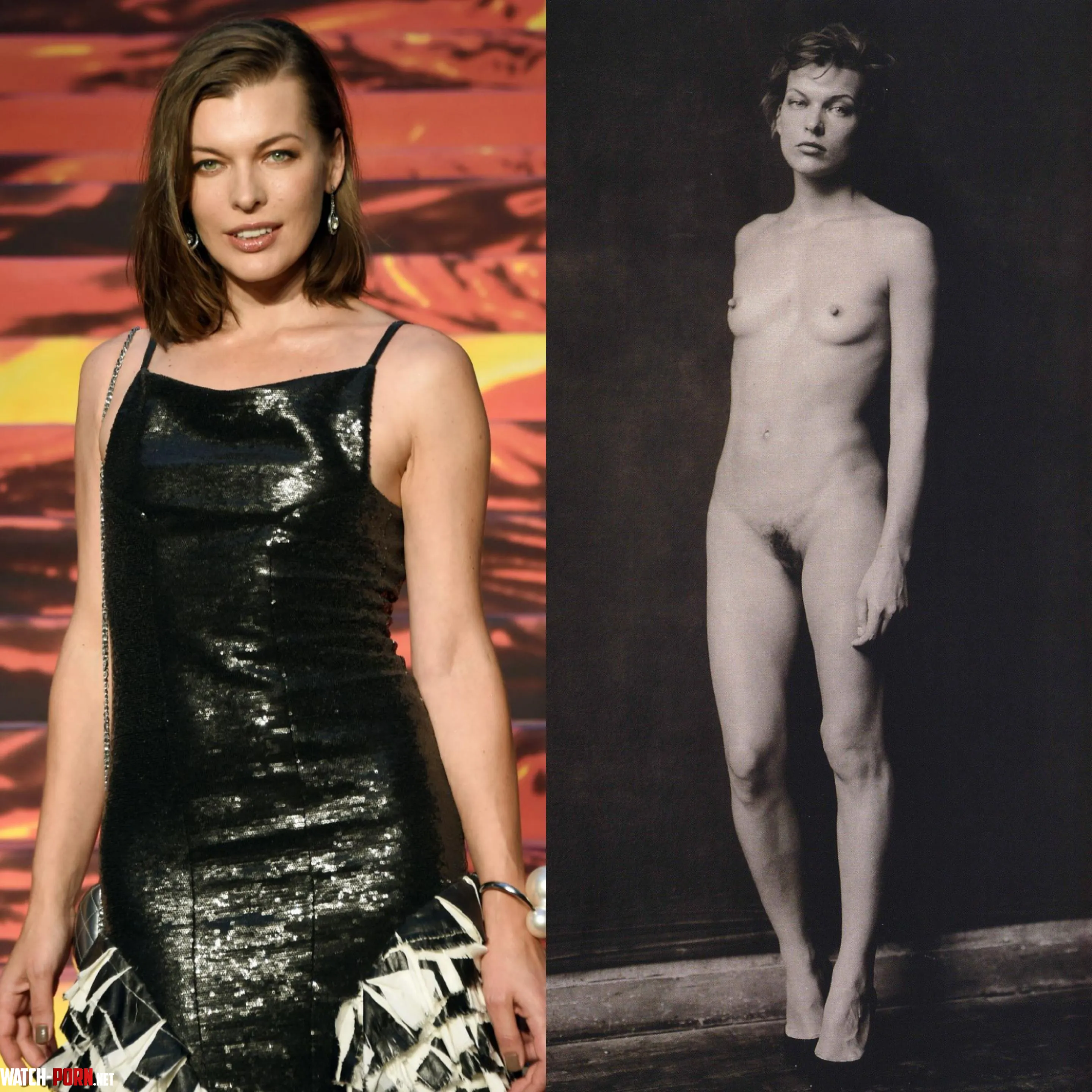 Milla Jovovich by McCoy303