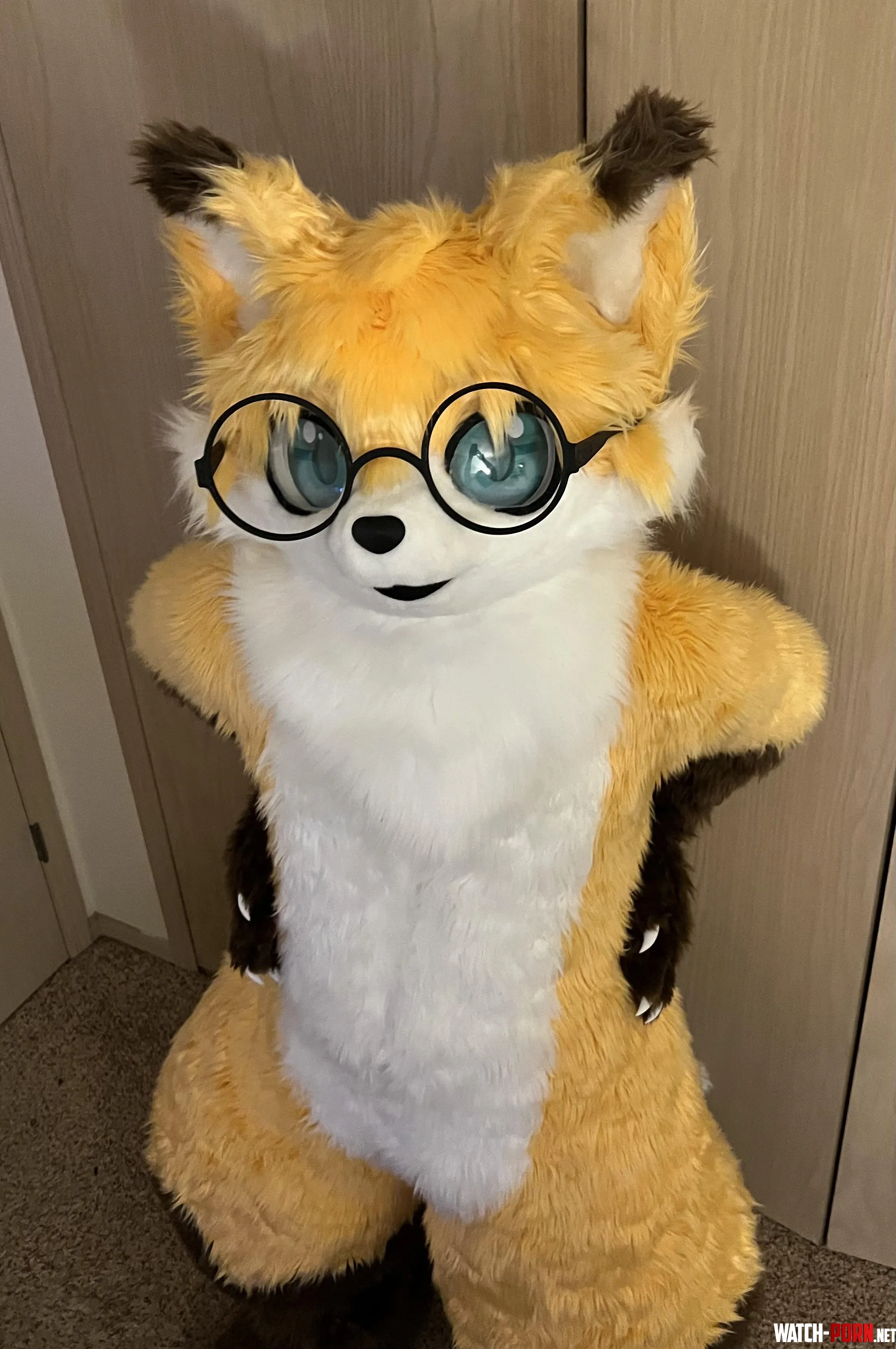 Fox does NOT approve of your height  by CatalopeSeats