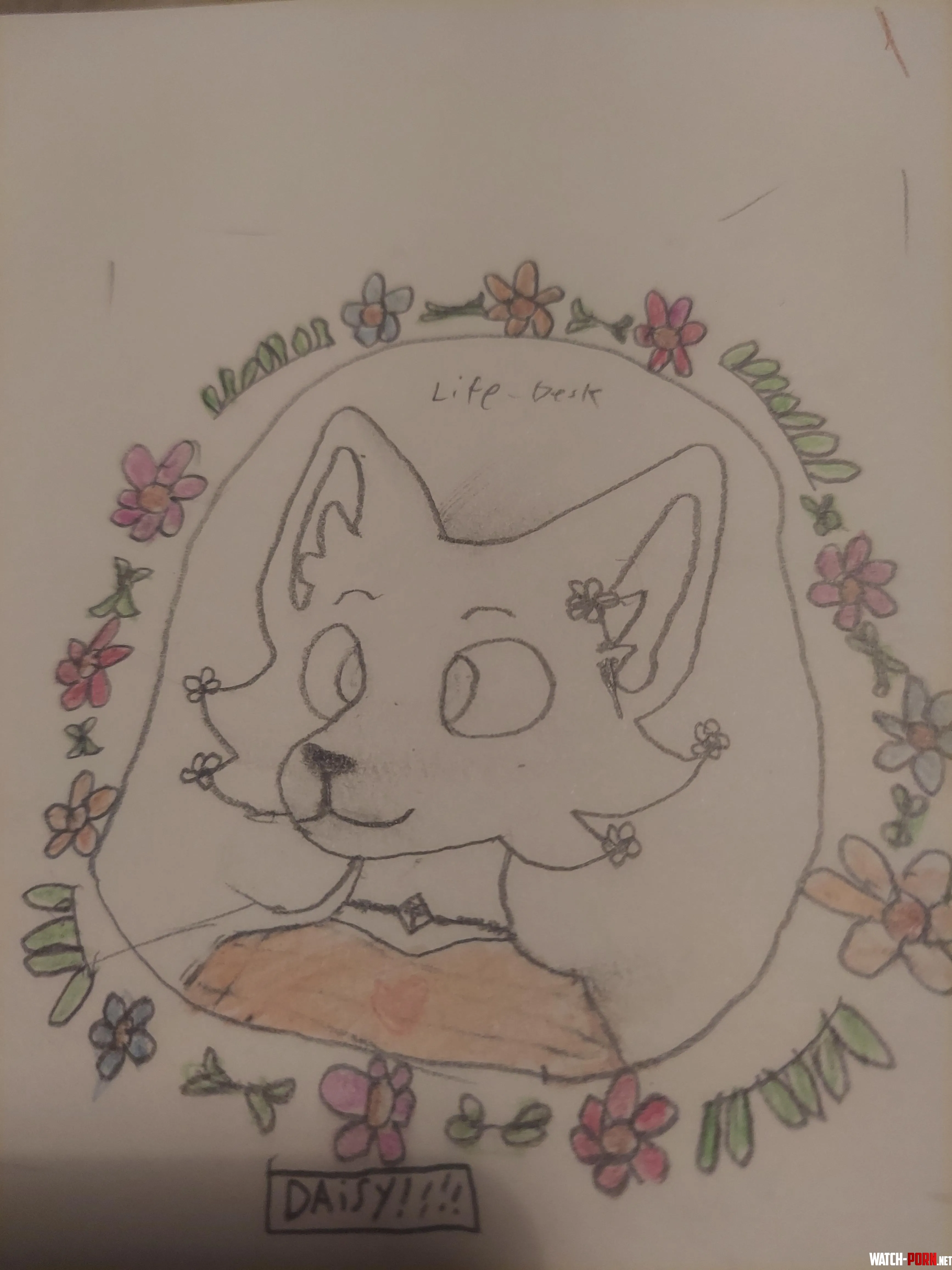 How do you all like daisy by Life-Desk-7635