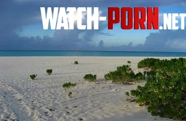 Sandy beach on a remote atoll  by colapepsikinnie