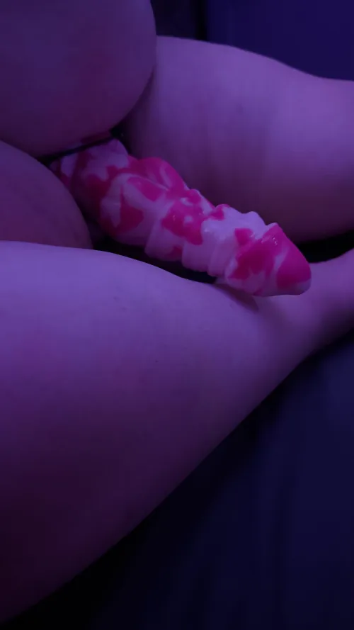 Thumbnail Secretlynotvanilla's Ode to Nova: A True Companion in BadDragon