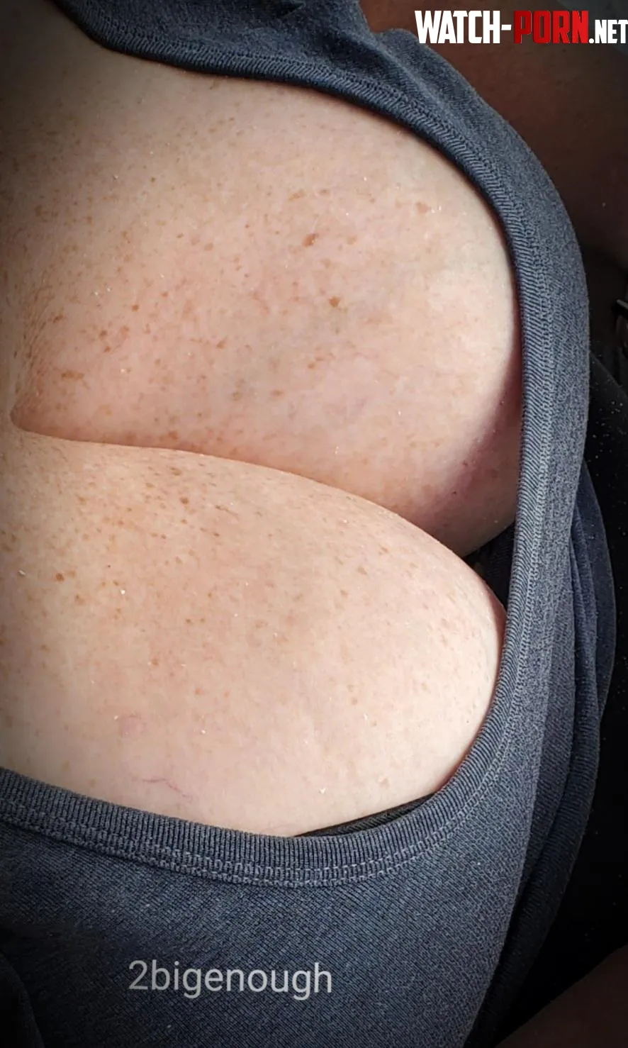 In case you are into the whole big boobs thing by 2bigenough