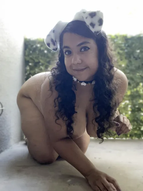 Thumbnail pwincesspuddlez Reminds You to Walk Your Pretty Puppy Today!