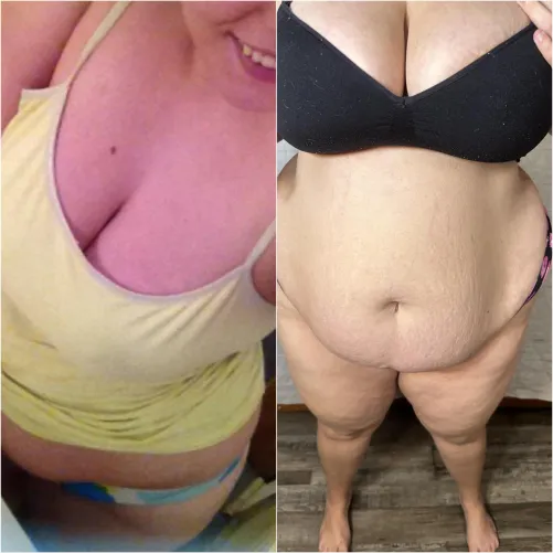 Thumbnail Journey with a Feeder: Five Years of Transformations Revealed by abigailgray256